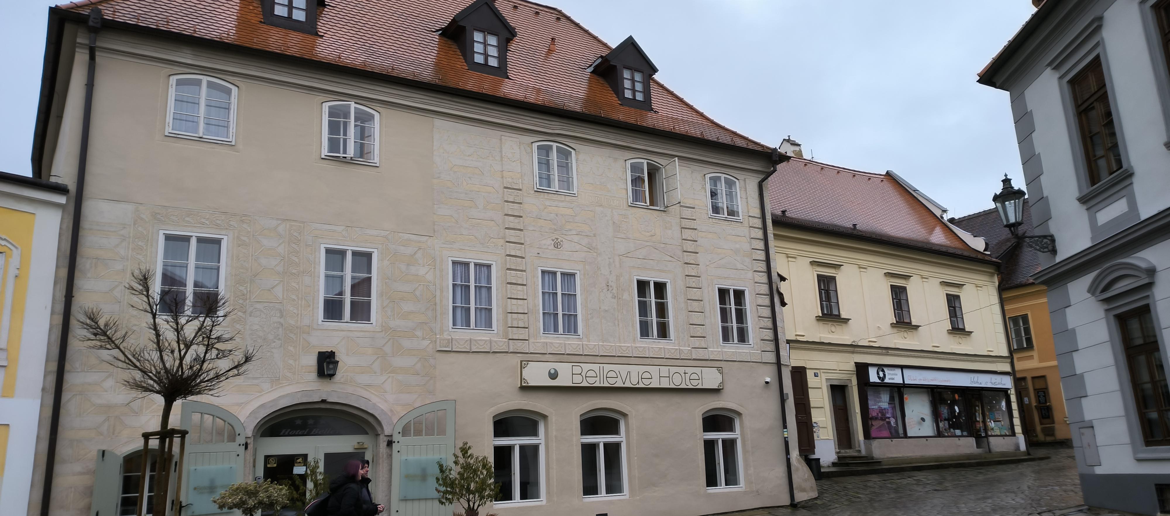 Hotel Bellevue foto 2