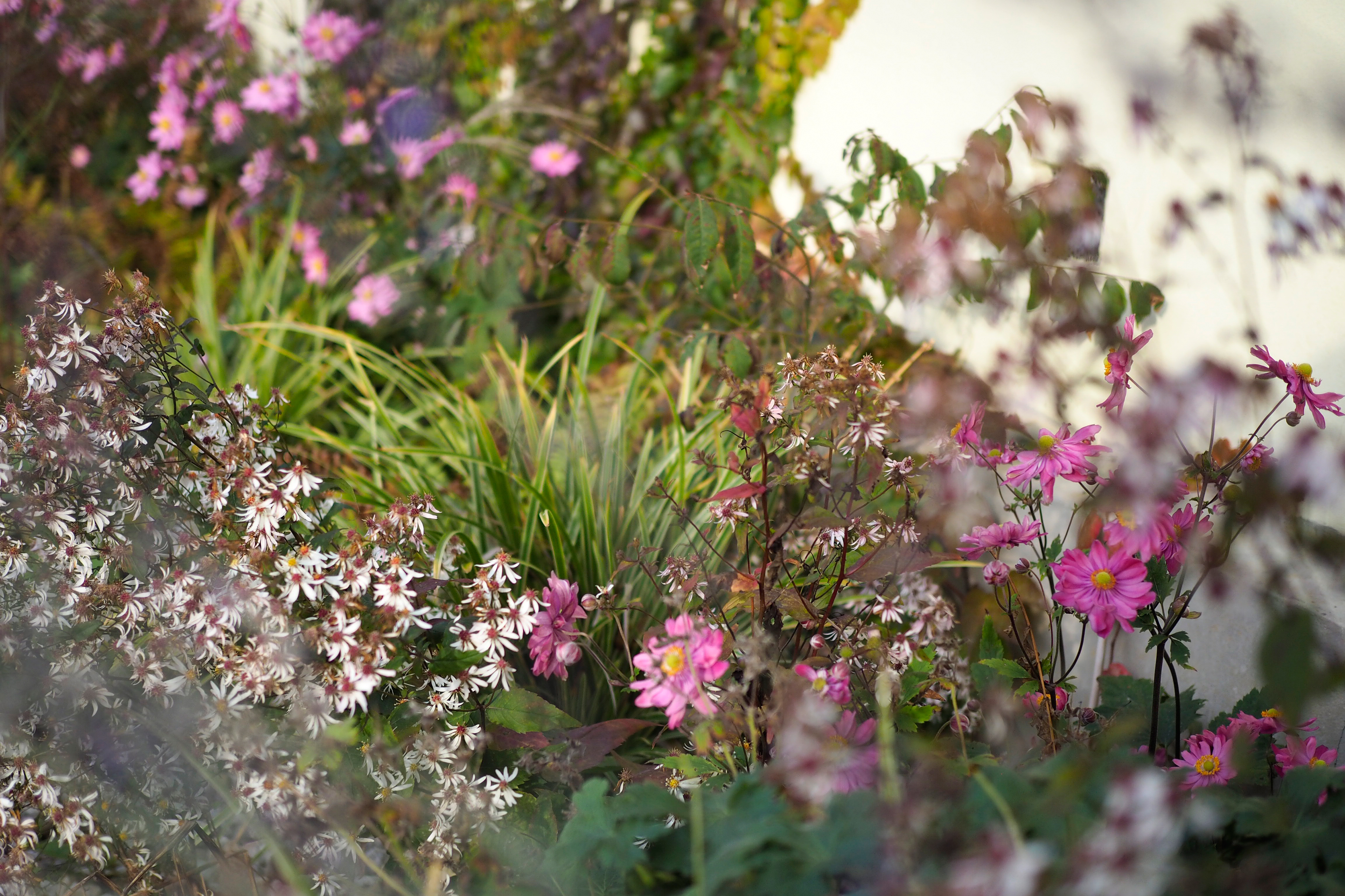 arbo.design | zahradní architektura