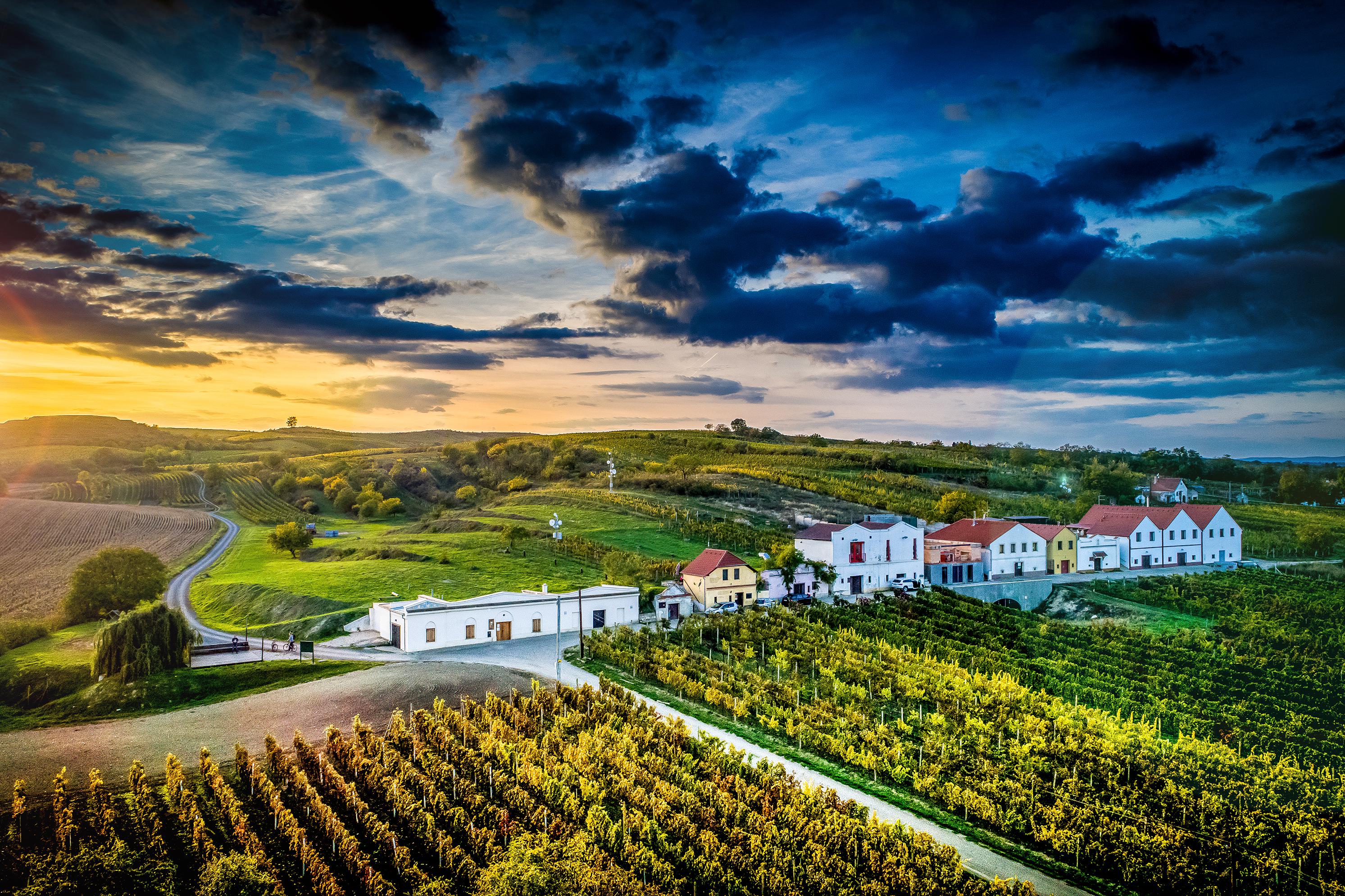 VINAŘSTVÍ MIKROSVÍN MIKULOV, a.s.