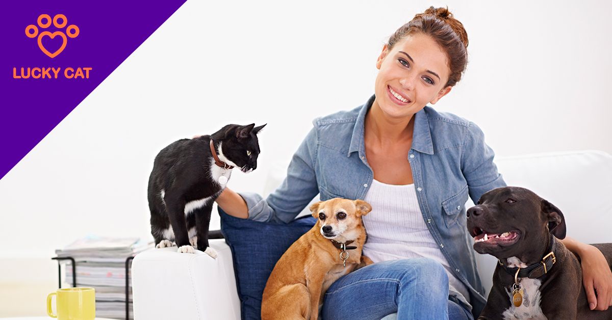 Lucky Cat – spolehlivé hlídání koček a psů s láskou