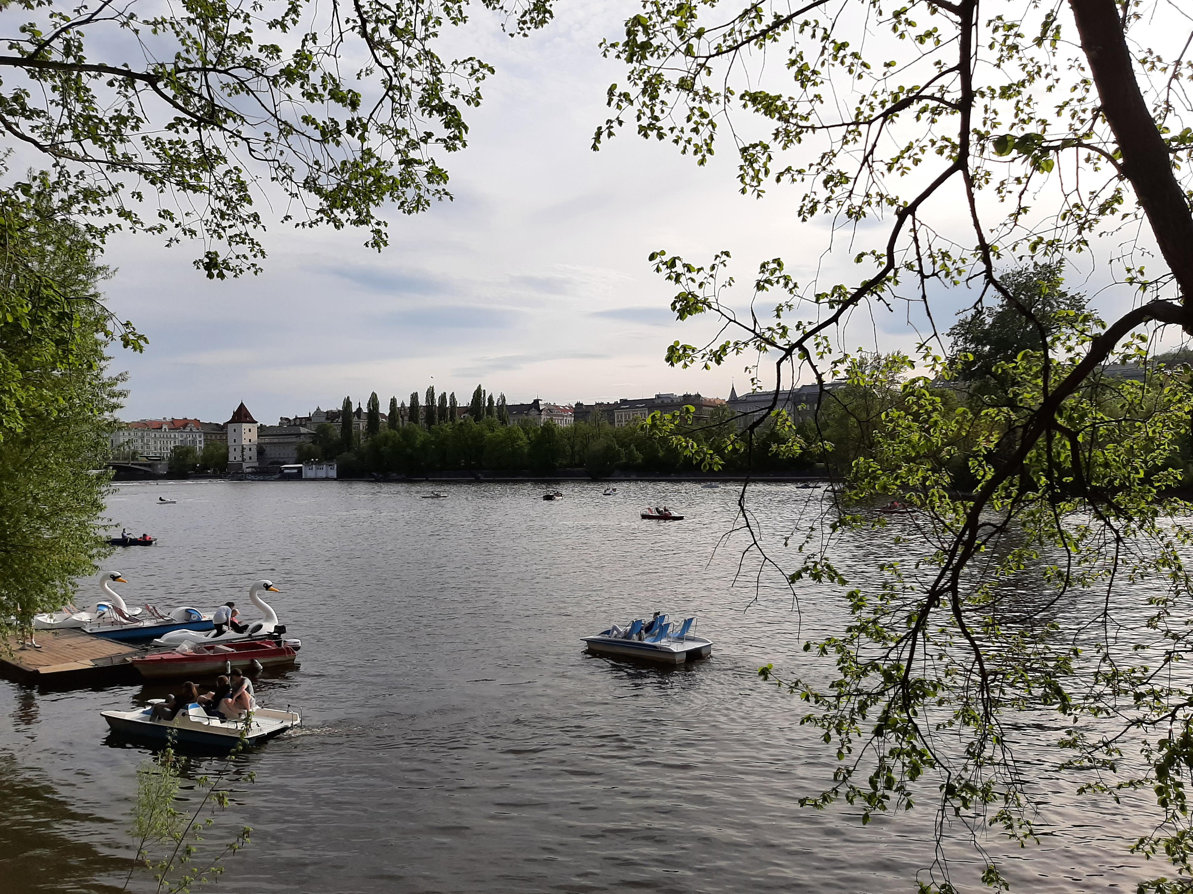 Půjčovna lodiček a šlapadel Slovanka foto 5