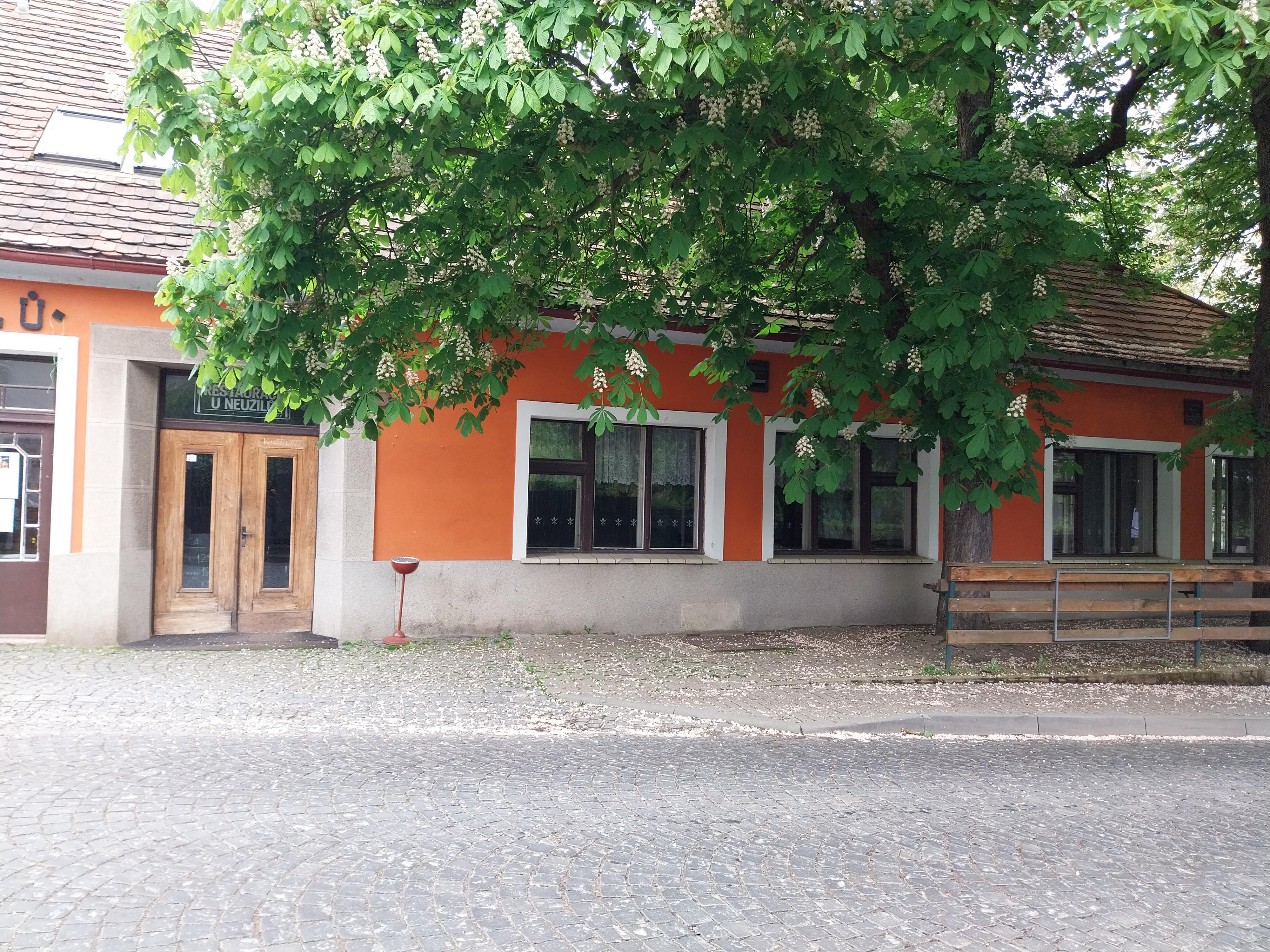 Restaurace U Neužilů foto 4