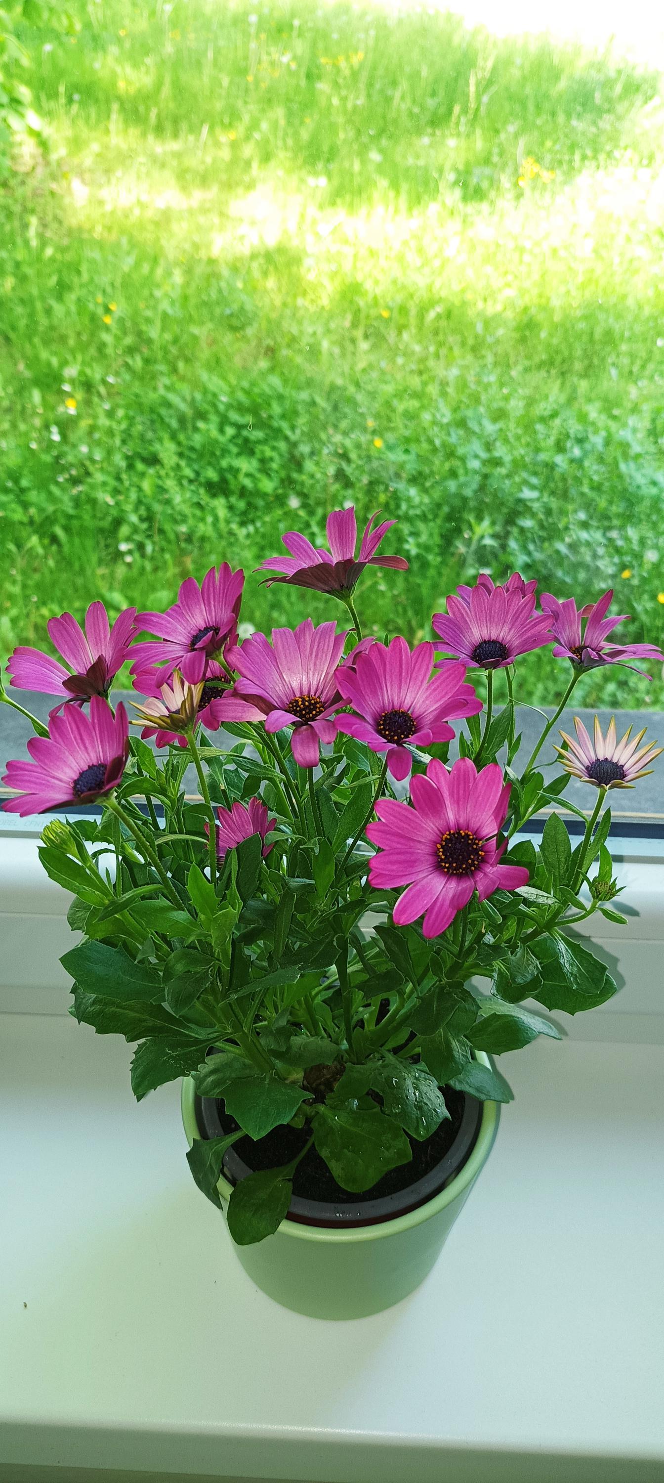 Relax Masáže foto 3