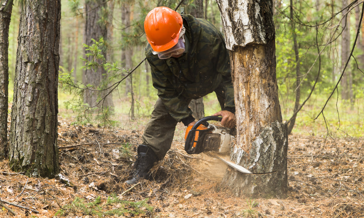 Elektro revize Vojtěch Pelzer foto 4
