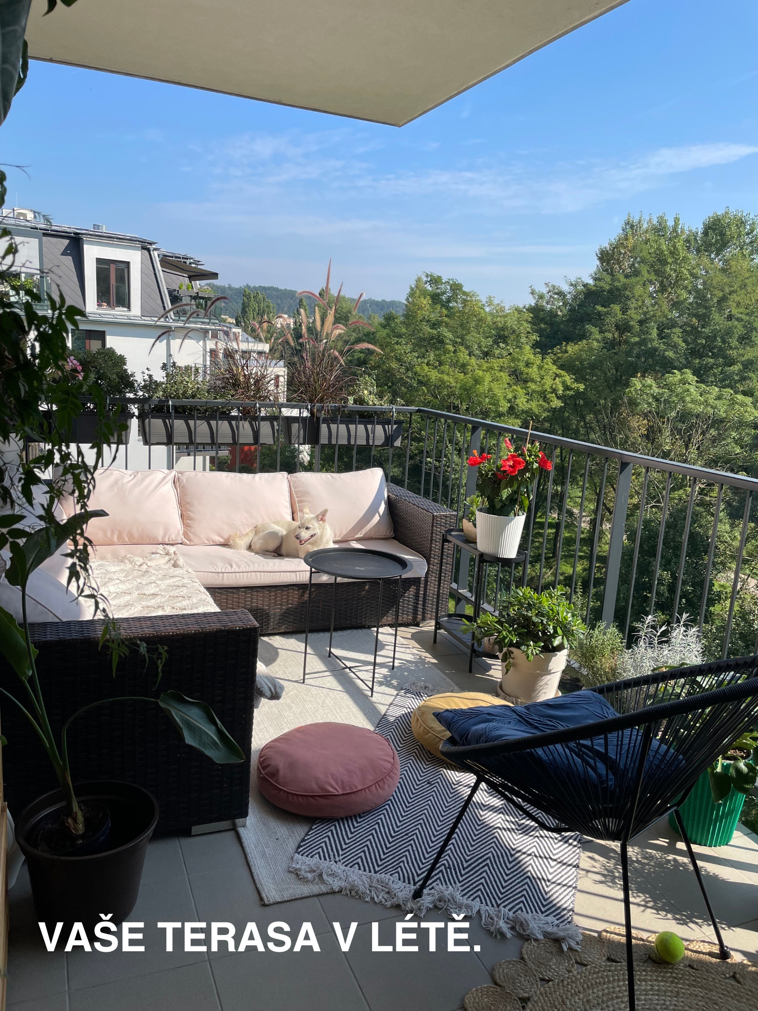 Jakub Švarc - realitní makléř RE/MAX Alfa foto 2