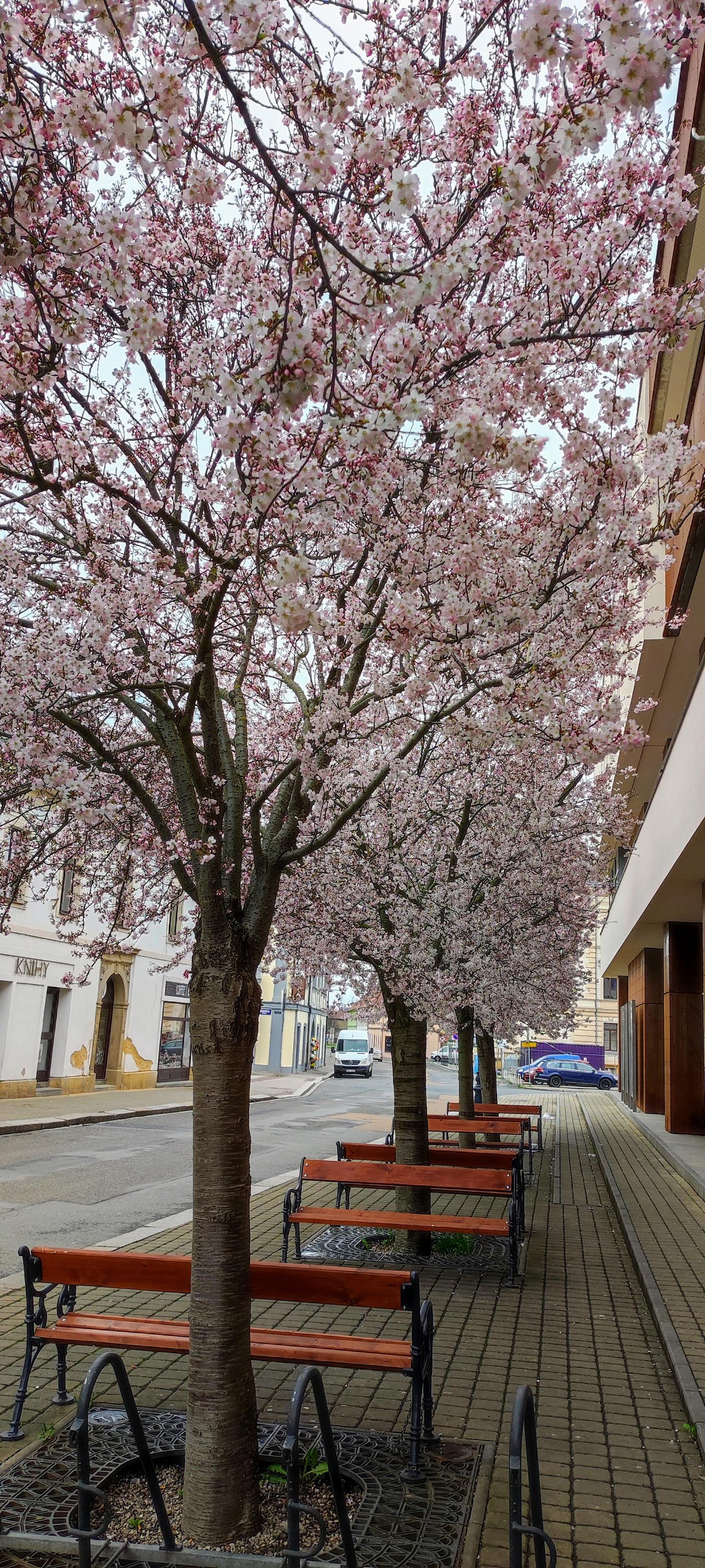 COOP foto 3