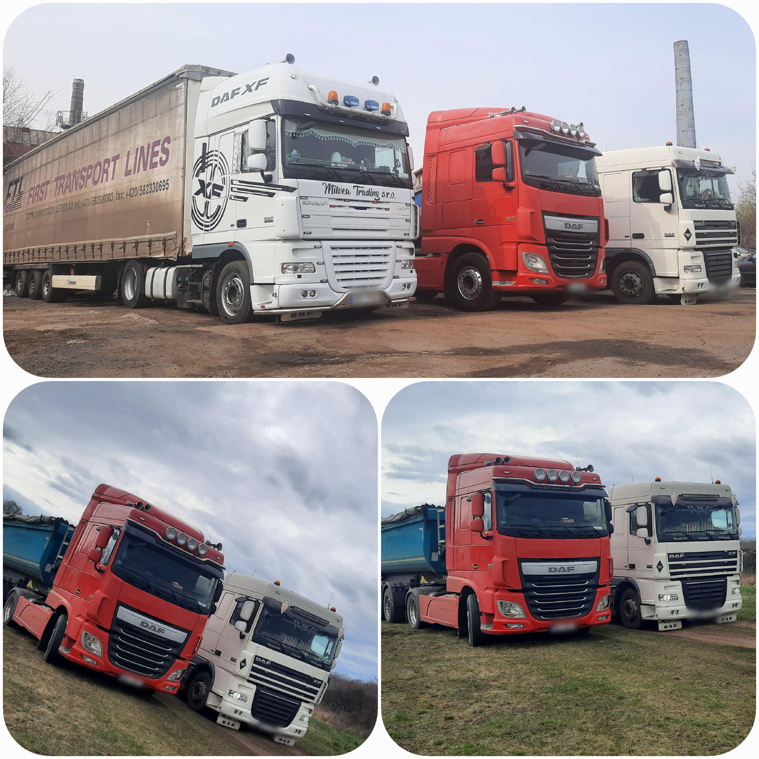 Milvea Trading s.r.o. foto 3