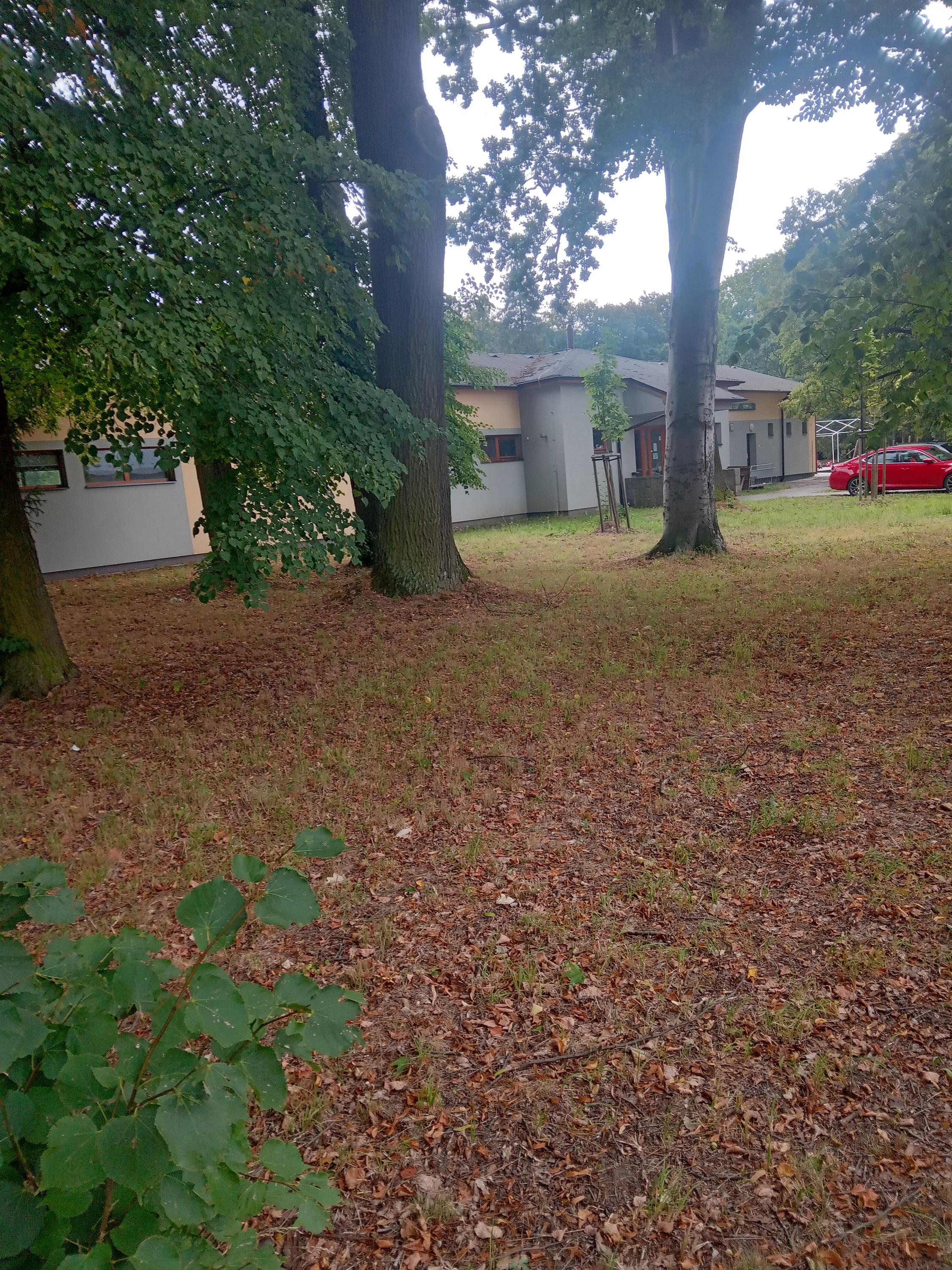 Pizzerie club Kuželna foto 5