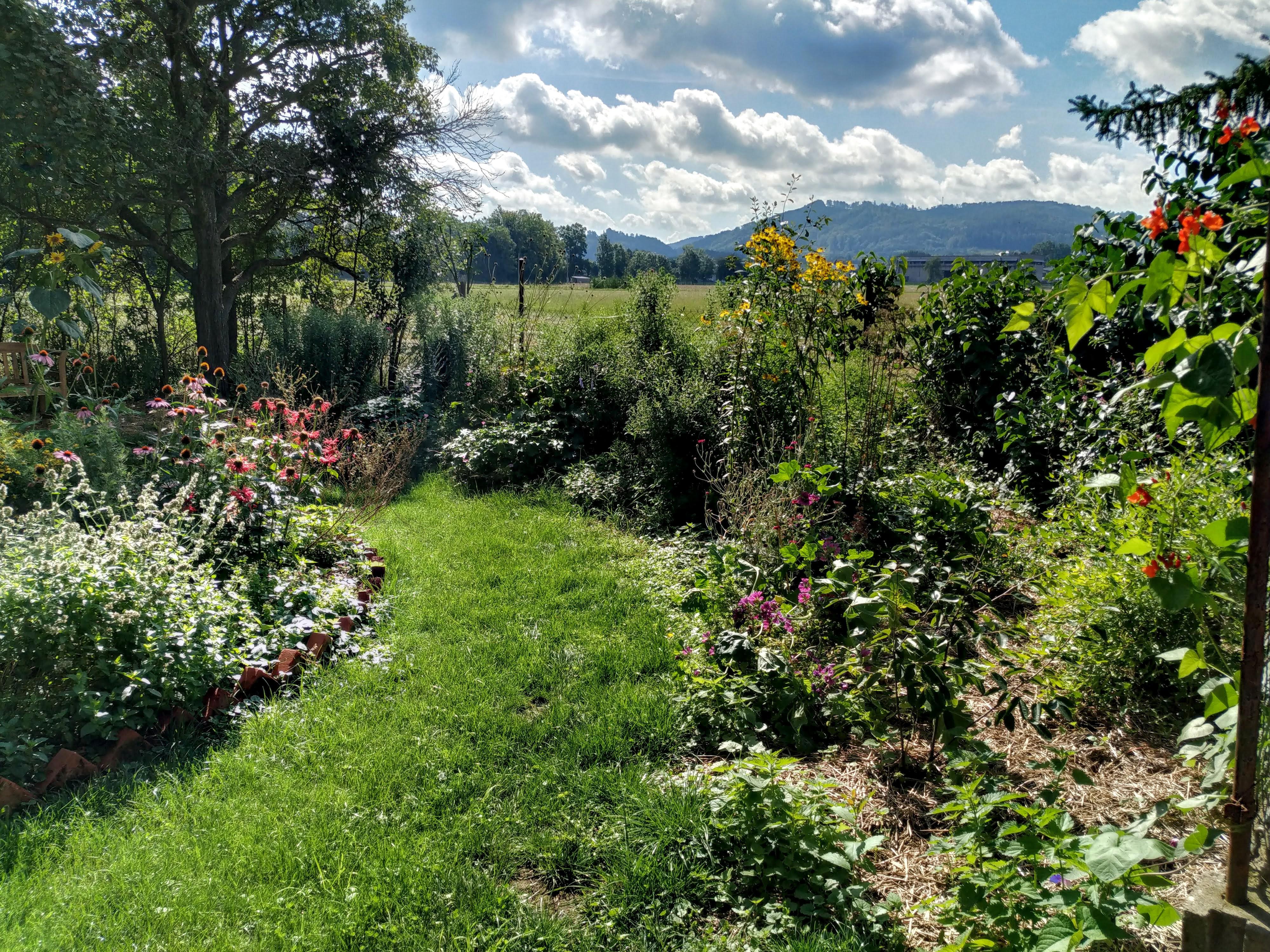 Komunitní centrum Záměl a Zahrada Dobromysl foto 3