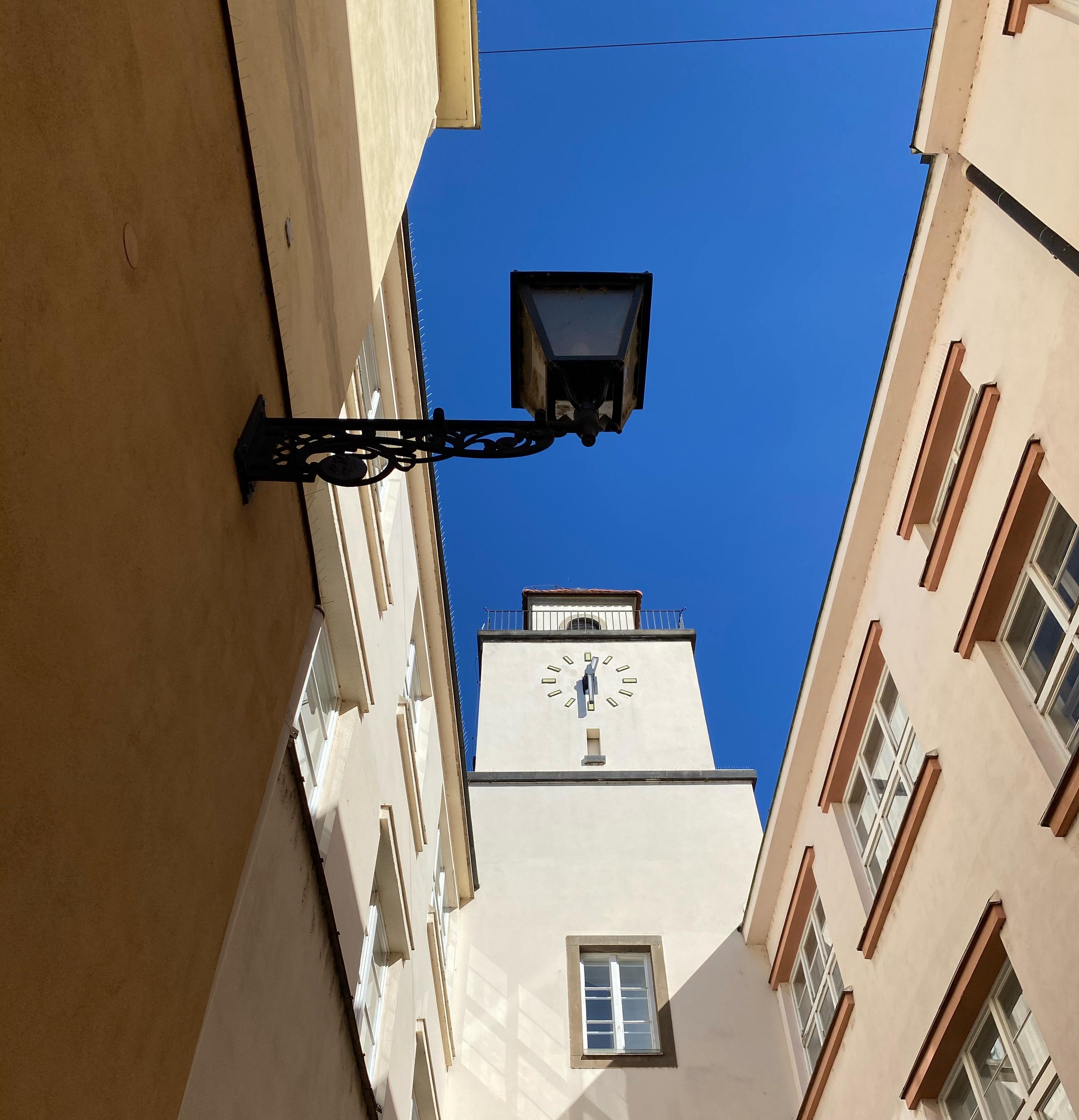 Romana Kneslová REALITY PRORADOST foto 2