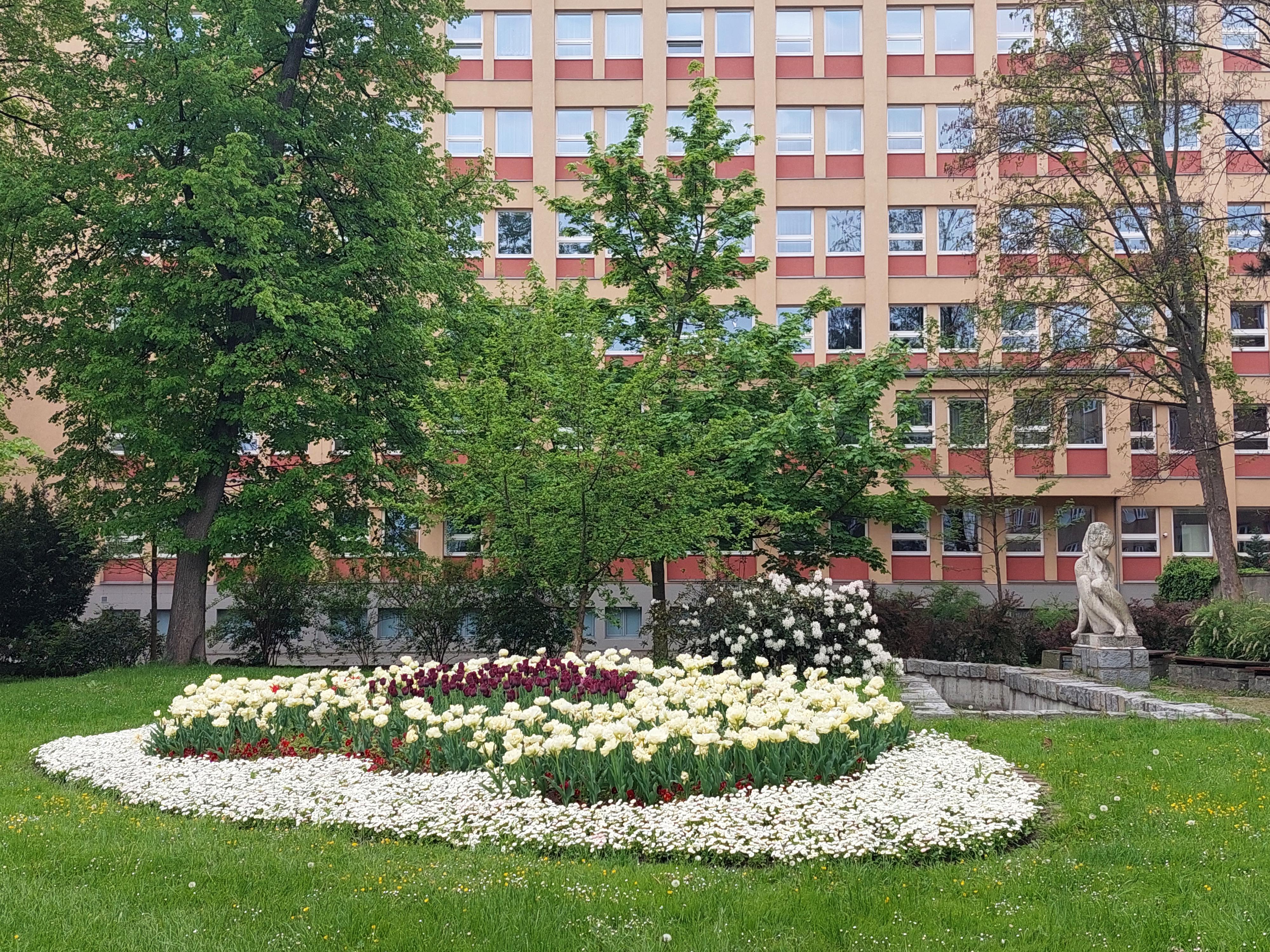 Katastrální úřad pro Moravskoslezský kraj foto 2