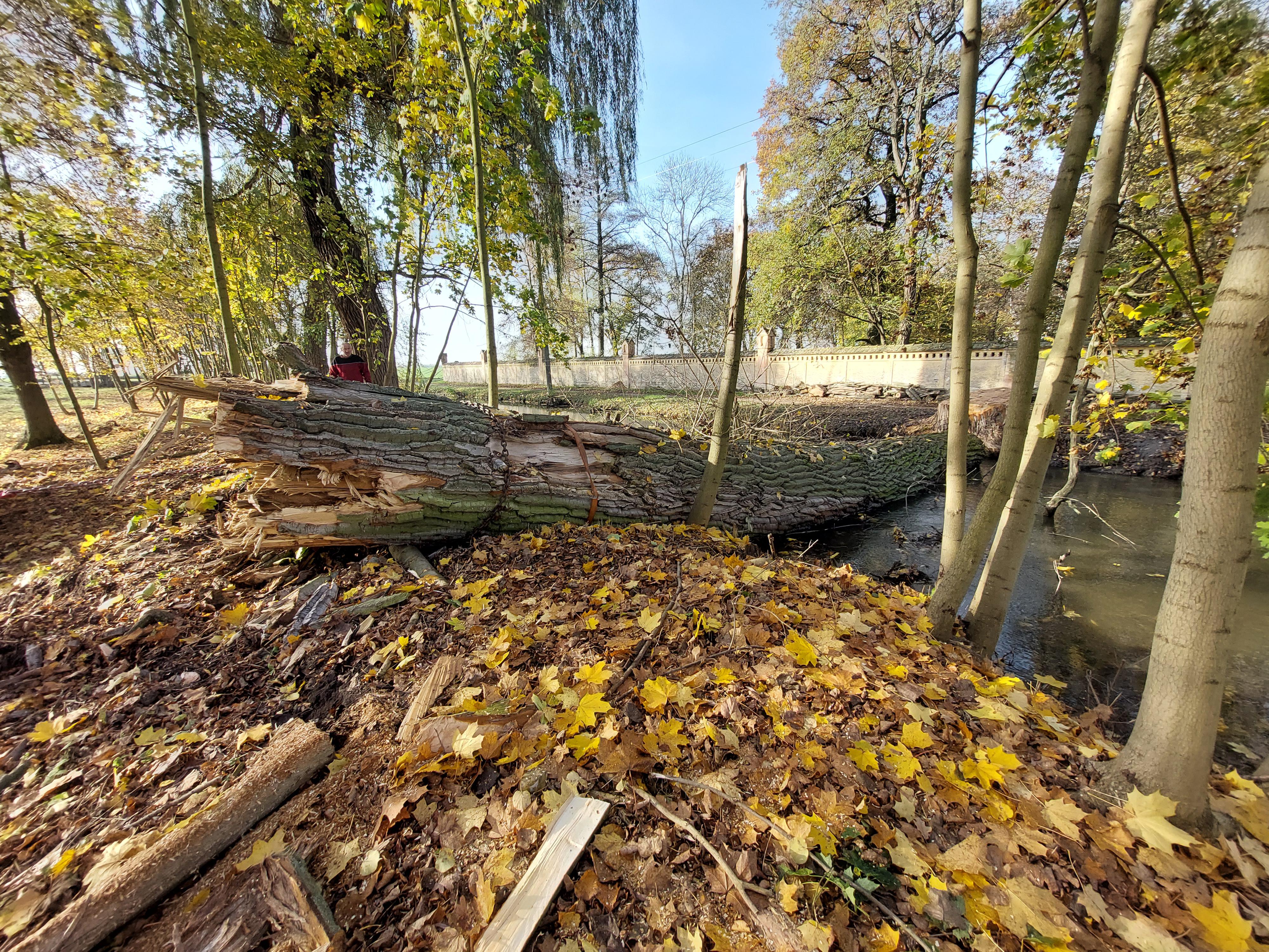 P&M ODTAHOVÁ SLUŽBA foto 2