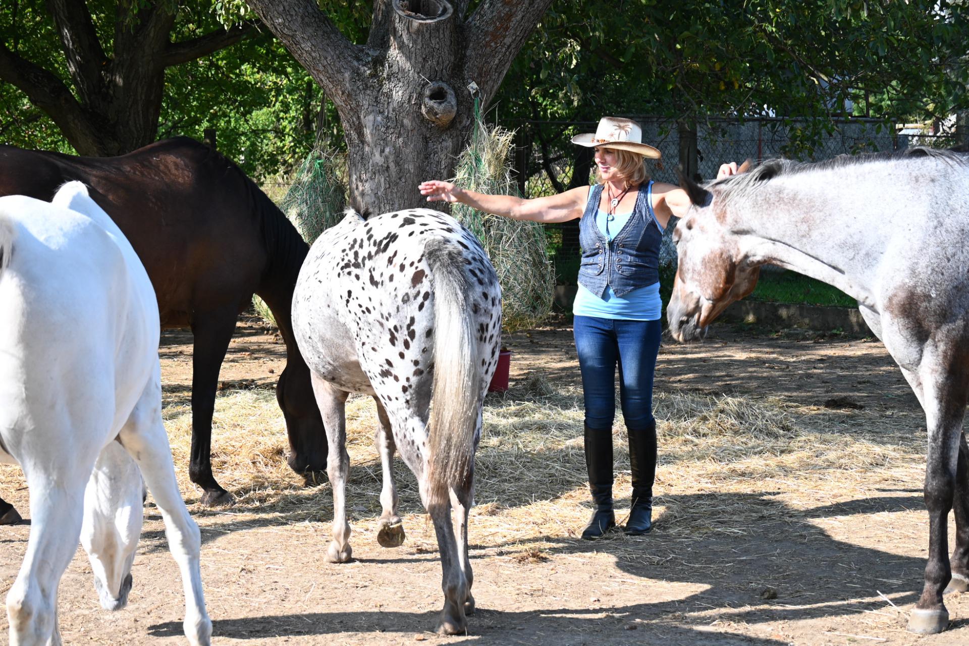 Spolek Farské dvůr foto 2