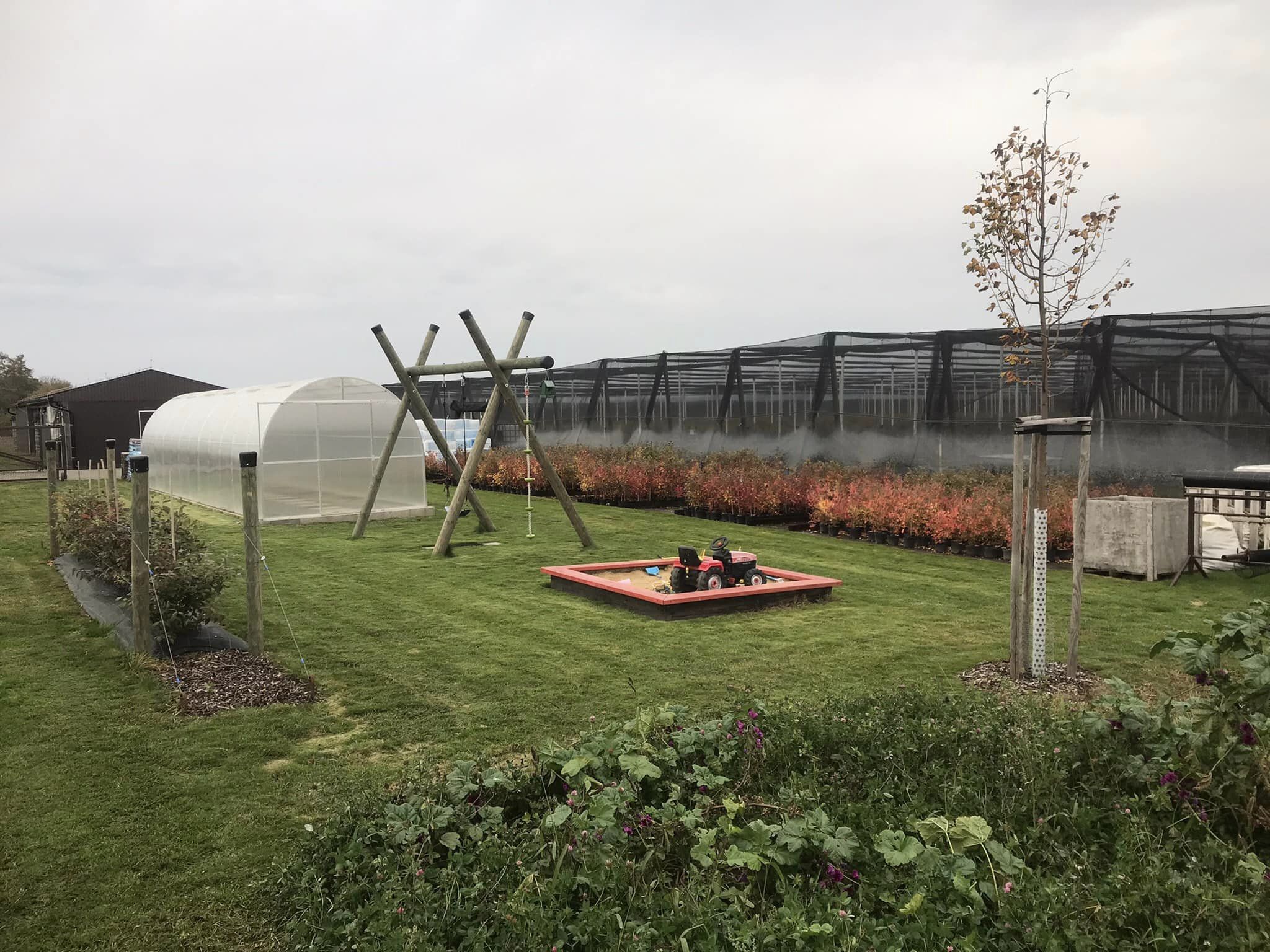 Borůvková farma Postoupky foto 2