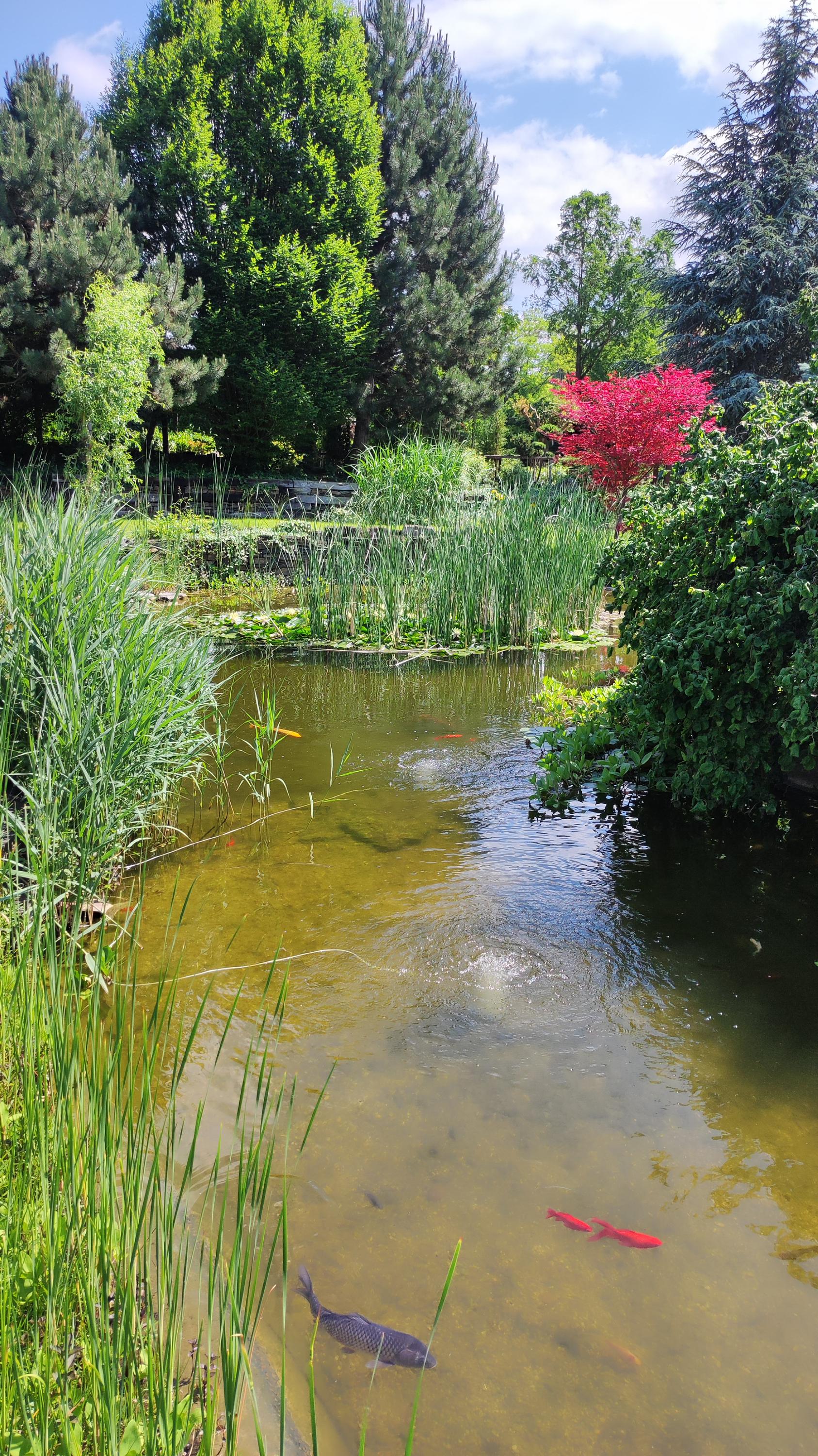 HORTISCENTRUM, s.r.o. foto 5