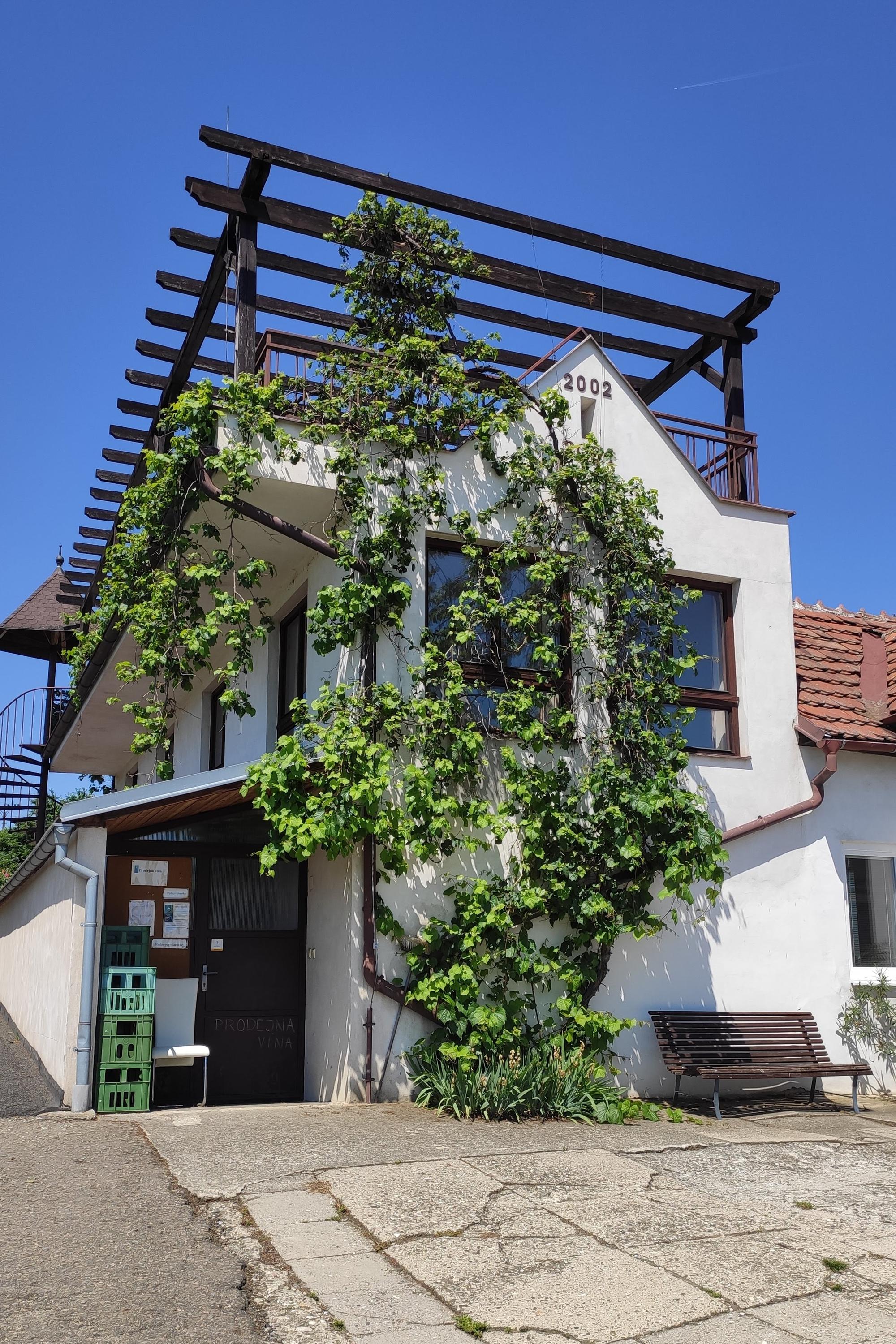 Šlechtitelská stanice vinařská, s.r.o. foto 5