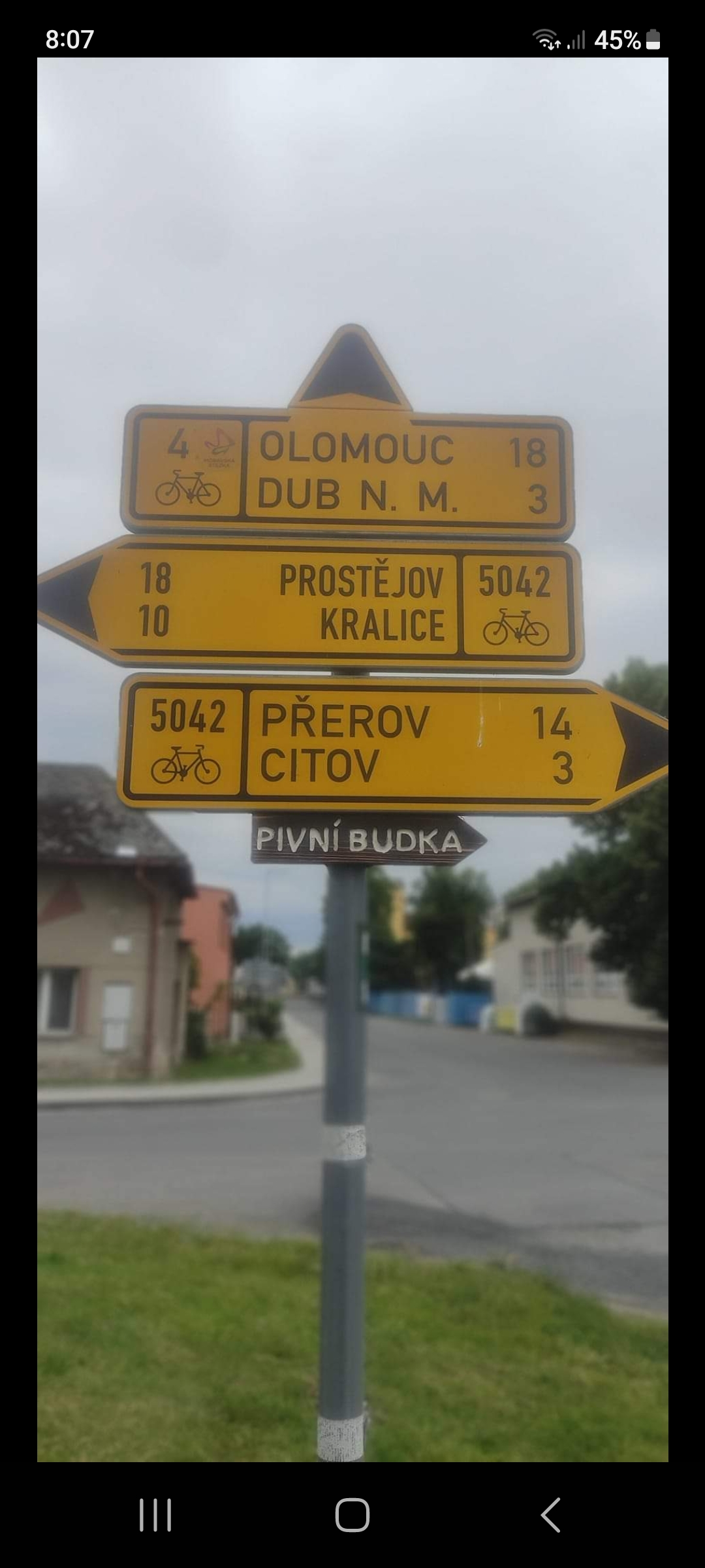 Pivní budka pod moruší foto 4