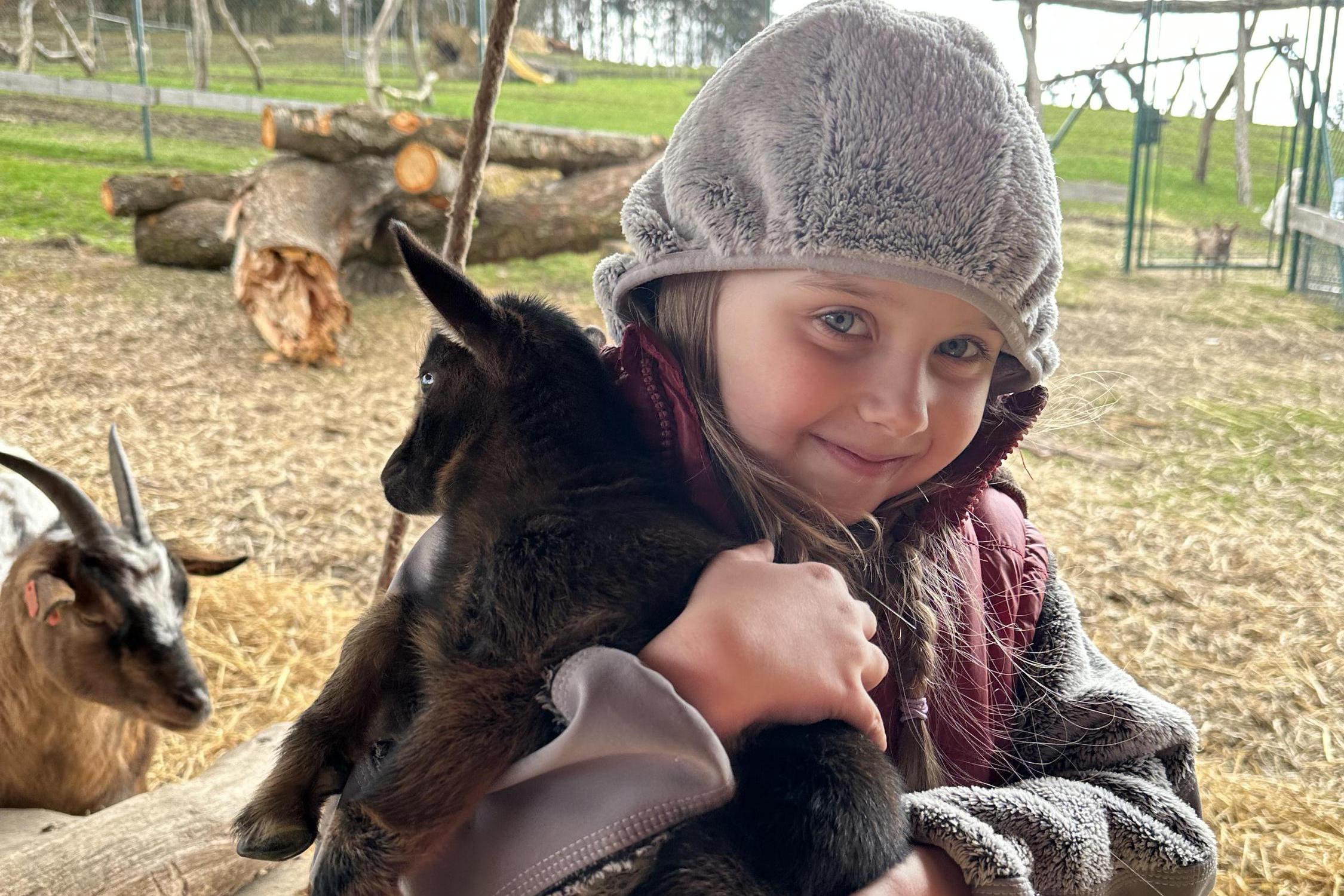 Farma Little Farmers