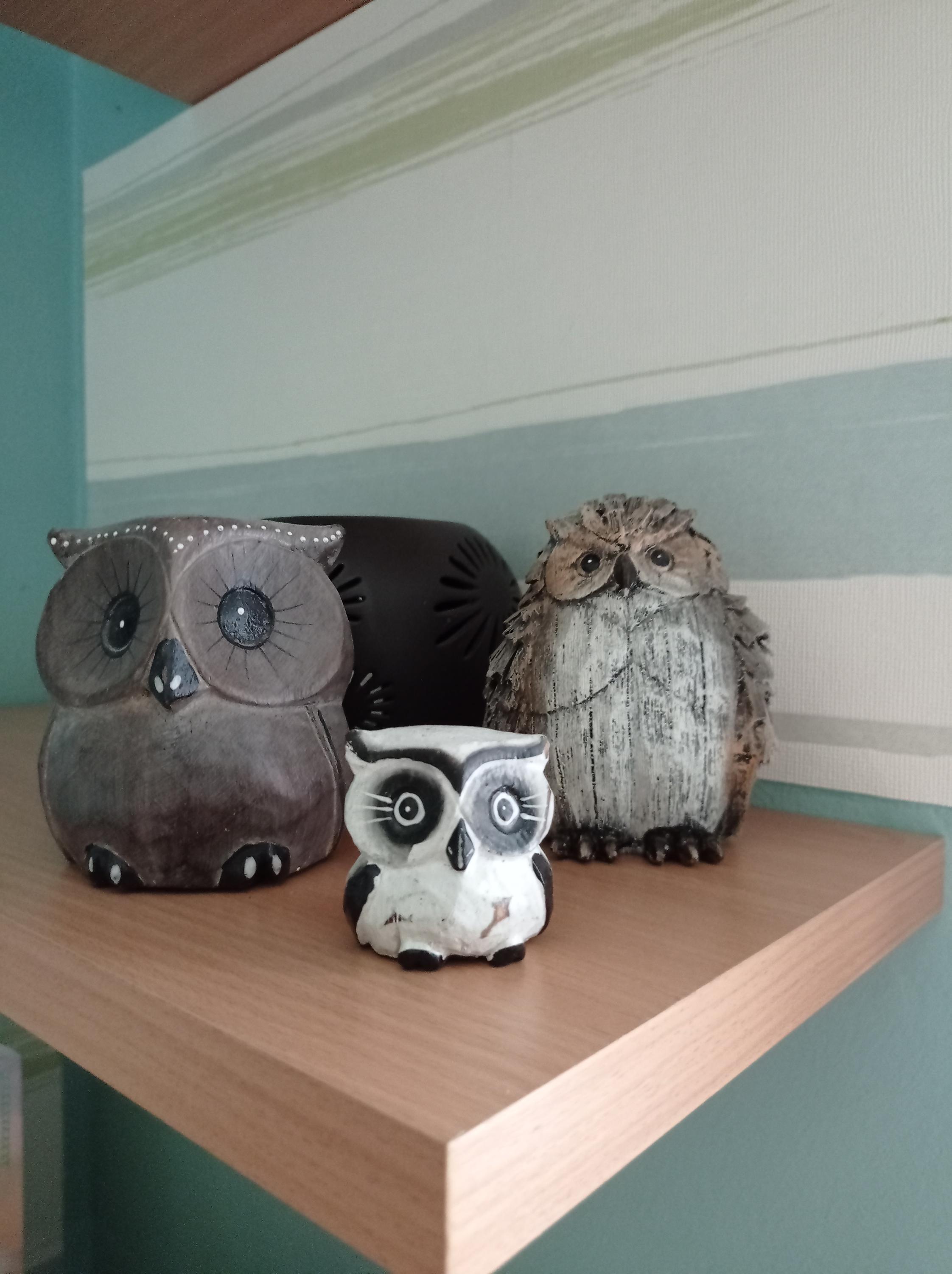 Masáže Jitka Pavelková foto 3