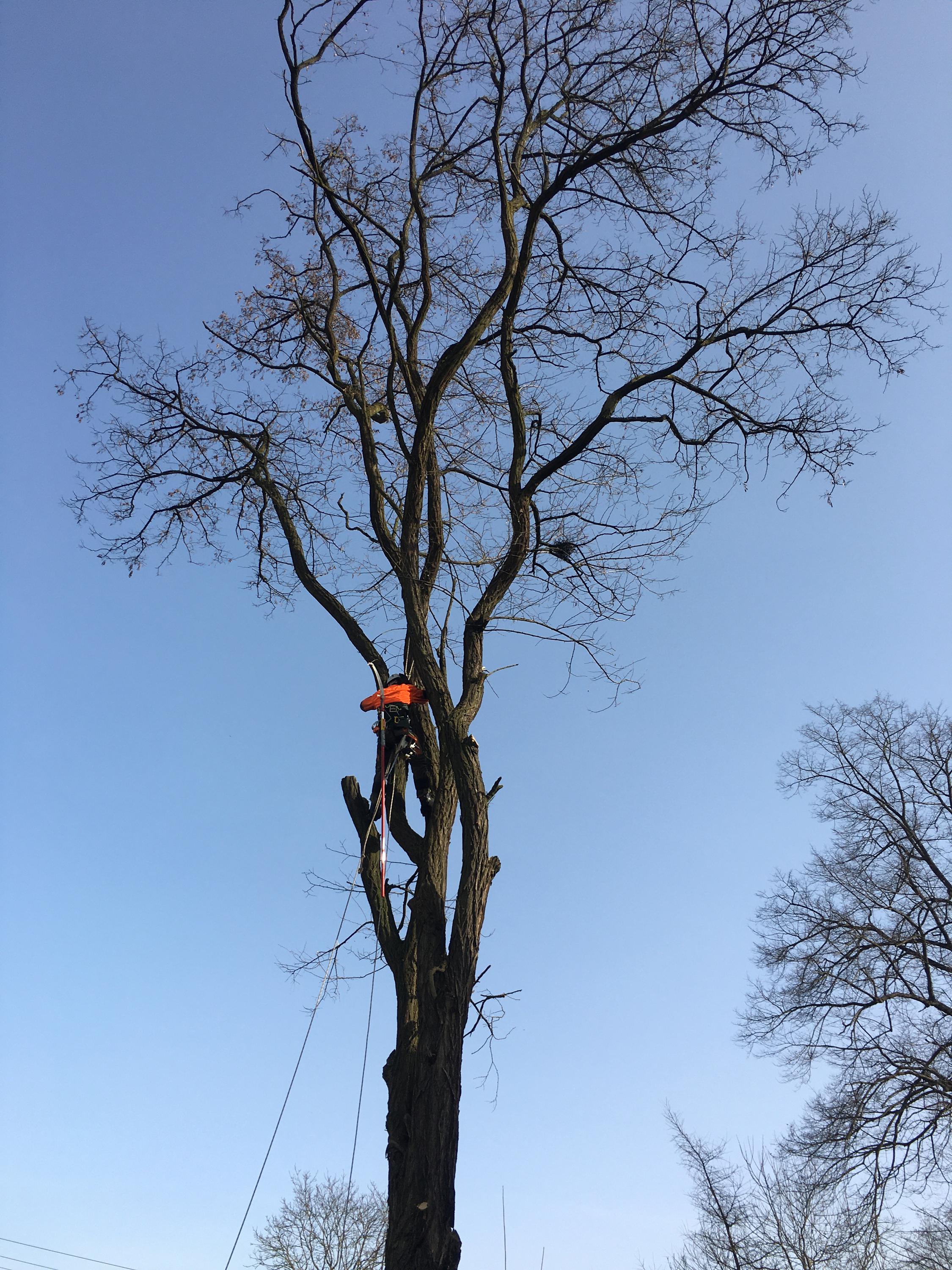 Milan Jurišica - CUTTING & CLIMBING foto 6