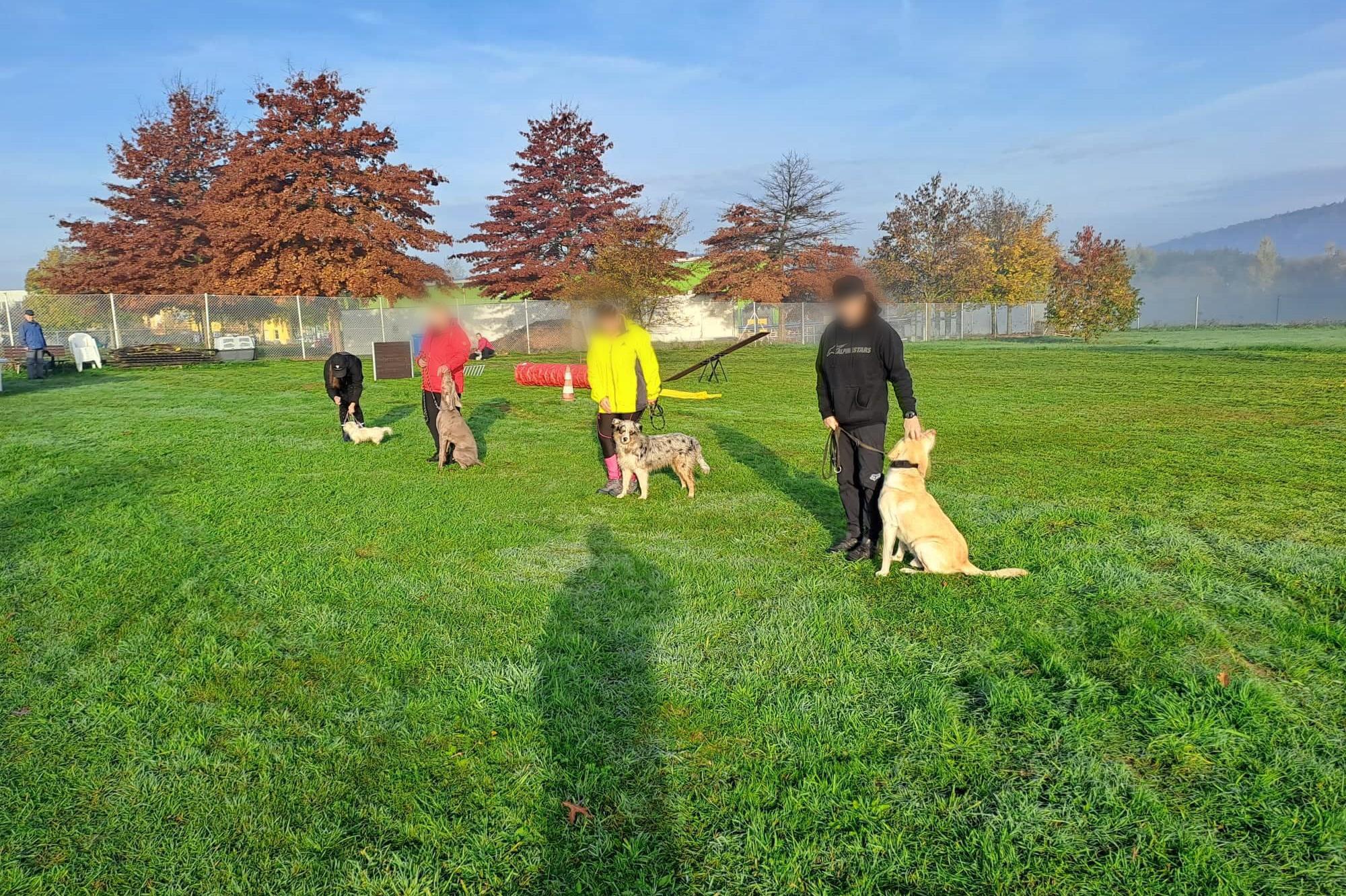 Hasiči ČR z.s., odbor SAR - Hasiči SAR Plzeň