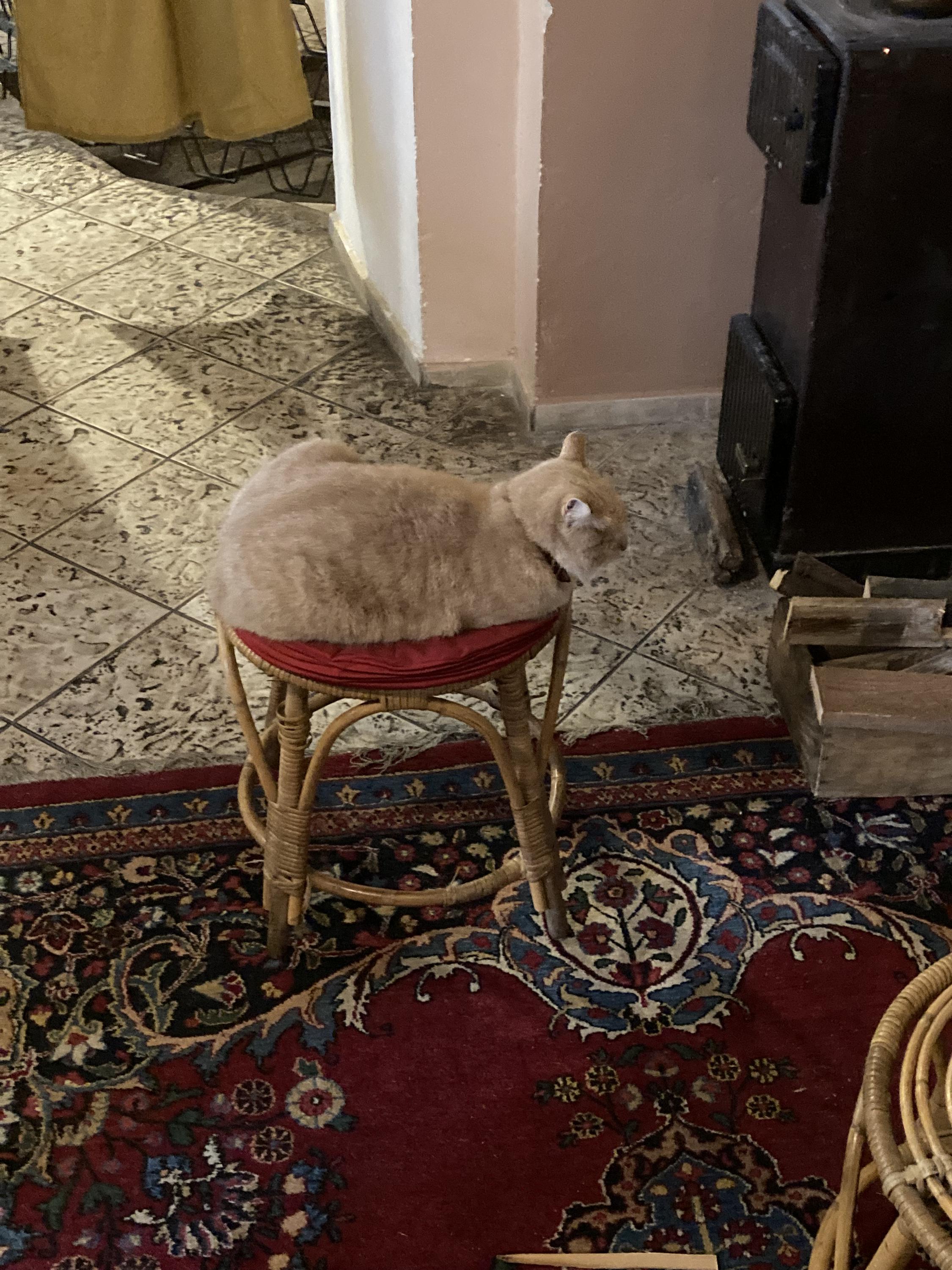 Dobrá čajovna Kutná Hora foto 5