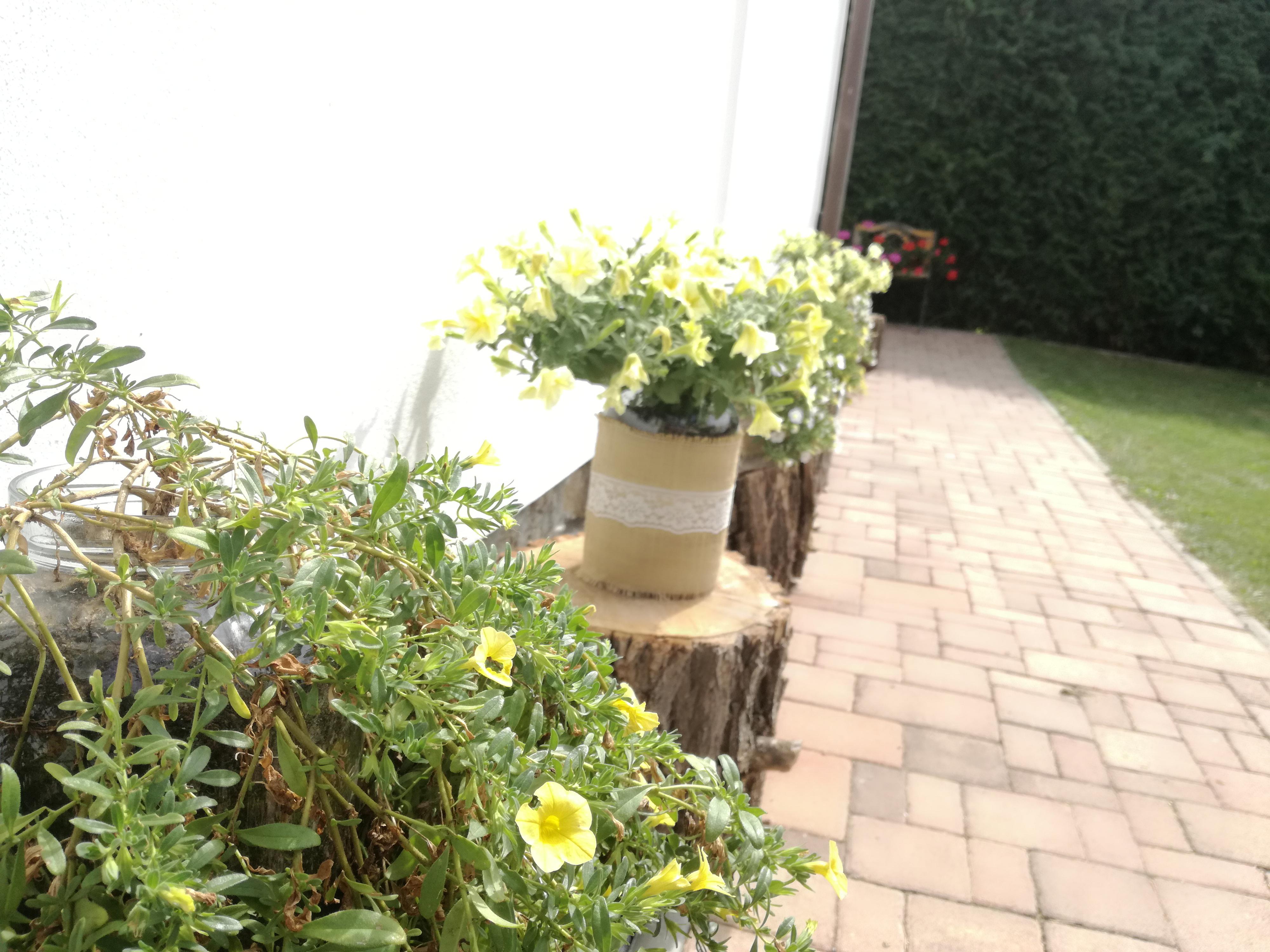 Restaurace U Malířských foto 2