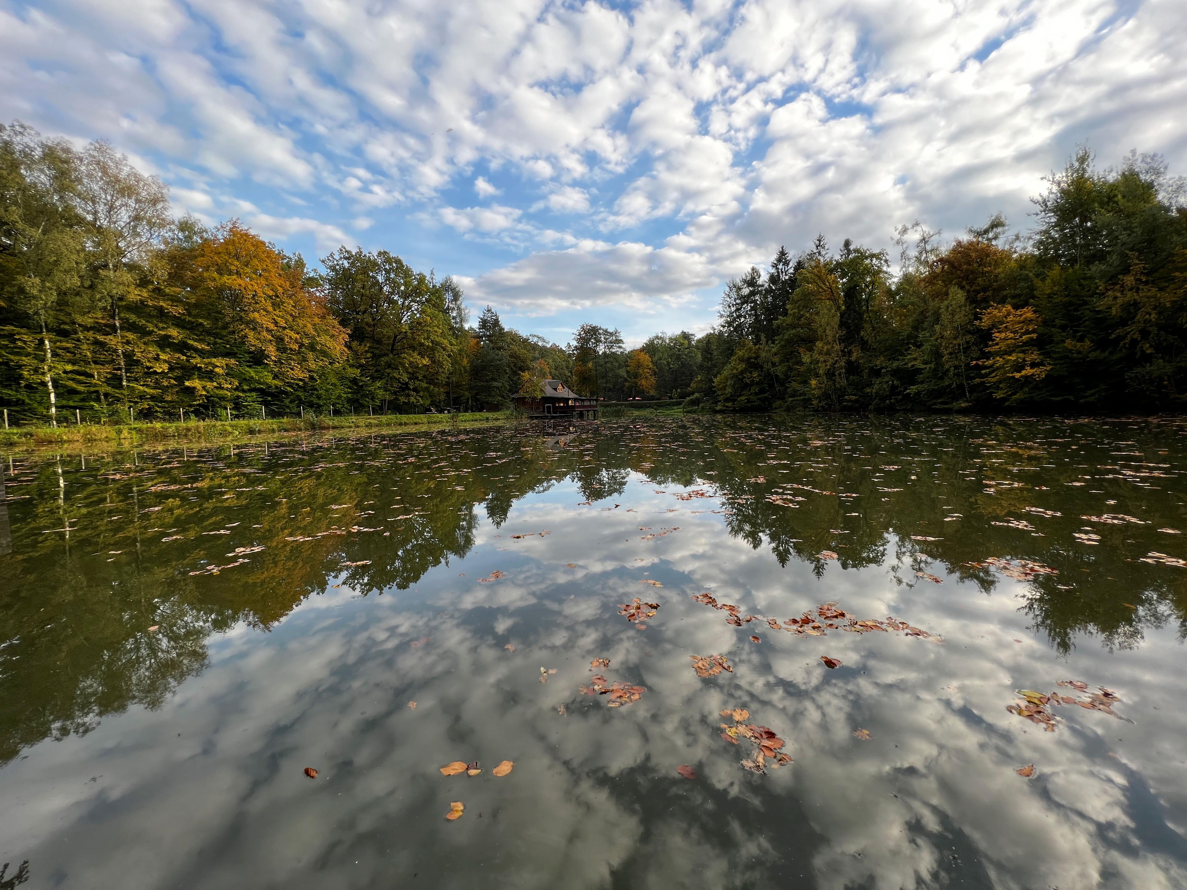 Restaurace Roubenka U Rybníka