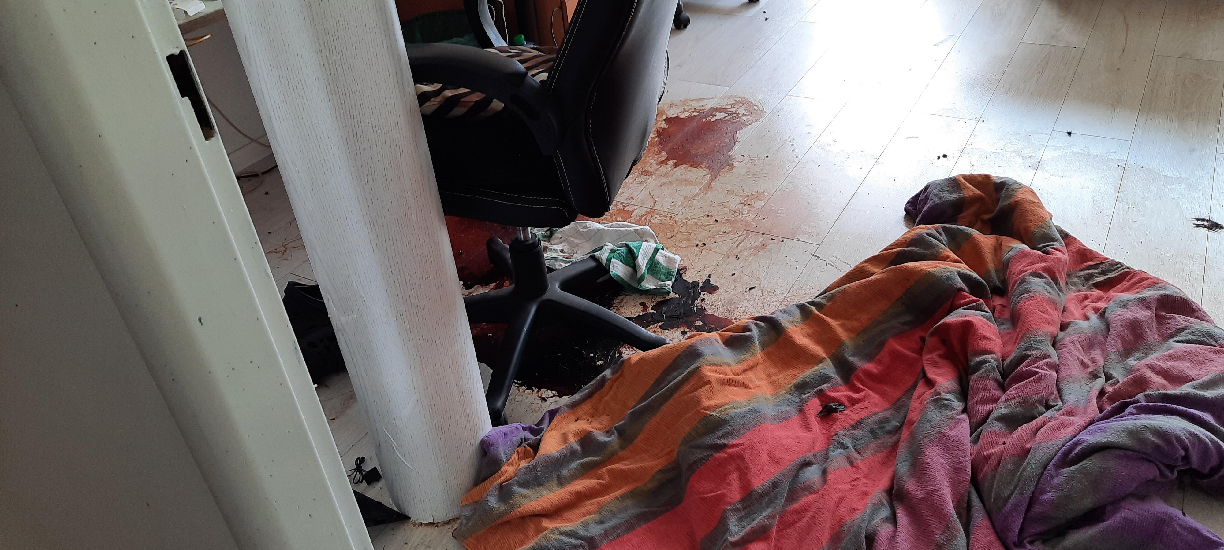 Daniel Gaňo - Vyklízení a dezinfekce bytu po zemřelém foto 2