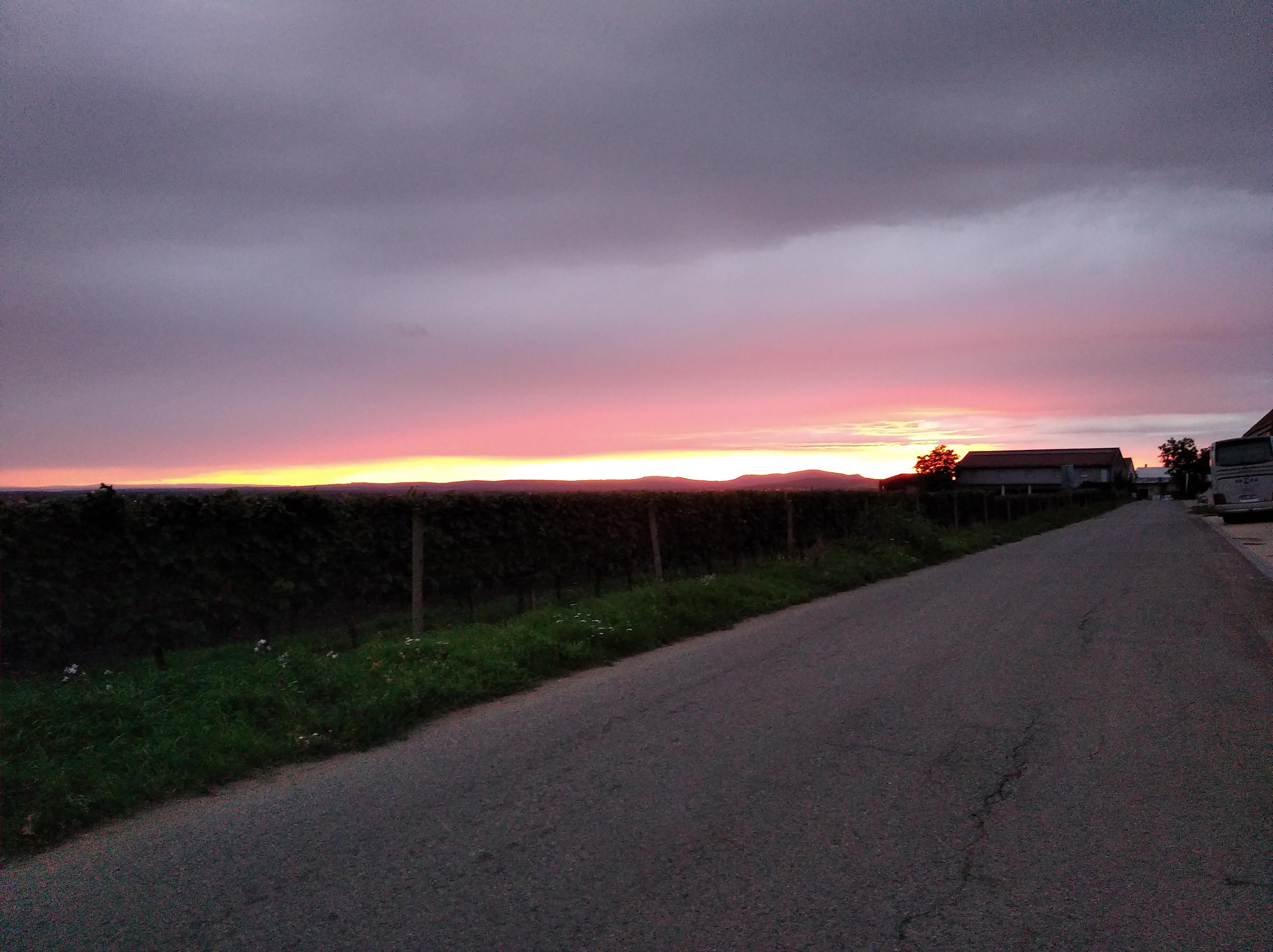 Rodinné vinařství Skoupil s.r.o. foto 5