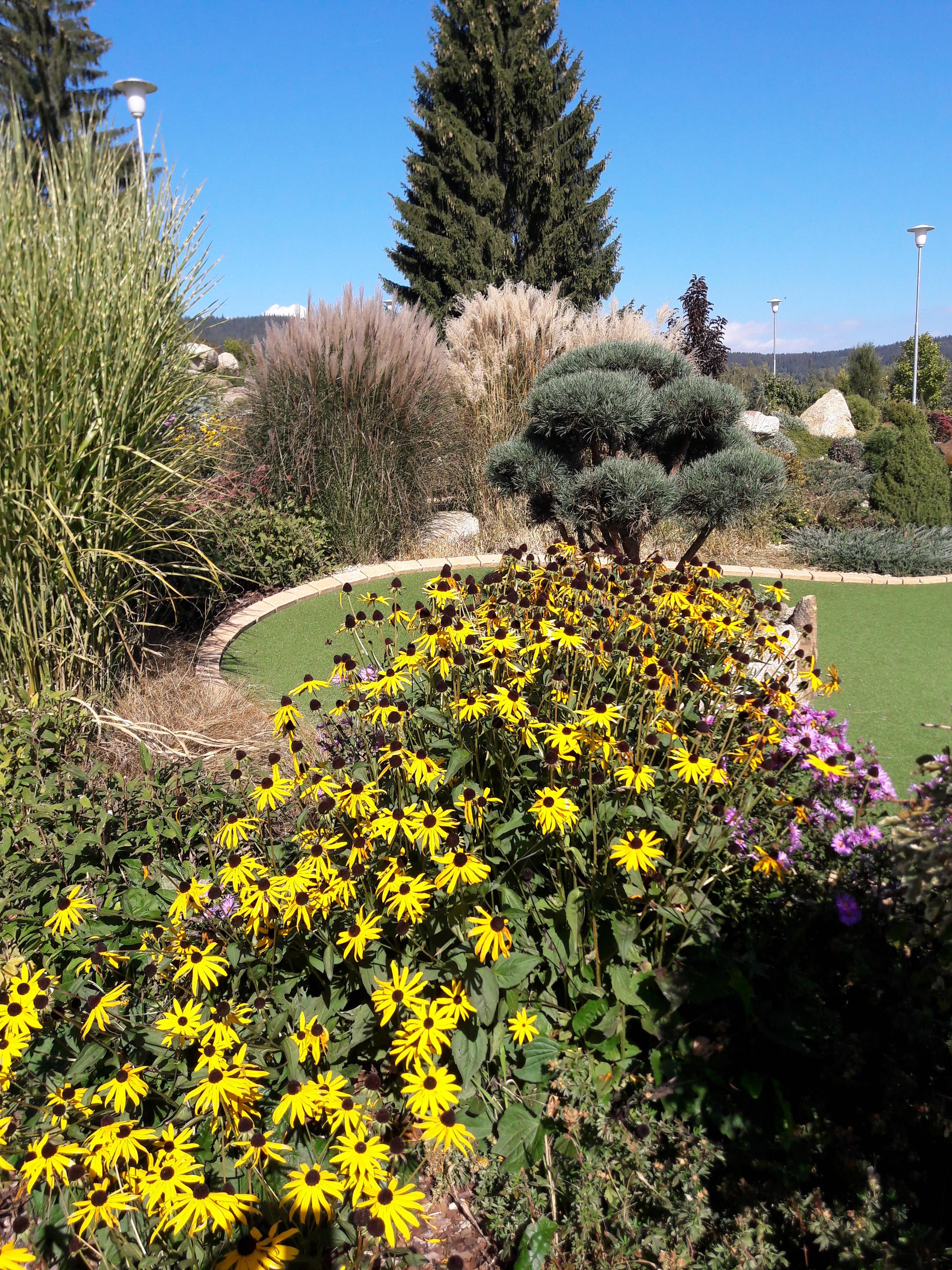 Fun Spot Lipno - botanická zahrádka foto 6