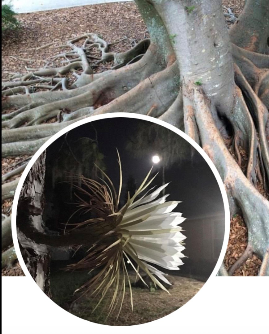 Osobní poradenství - Šnelerová foto 3