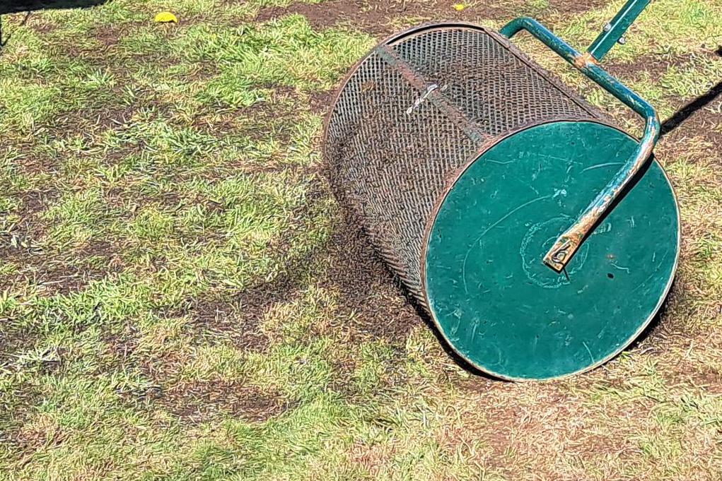 Renovace trávníku, Topdressing