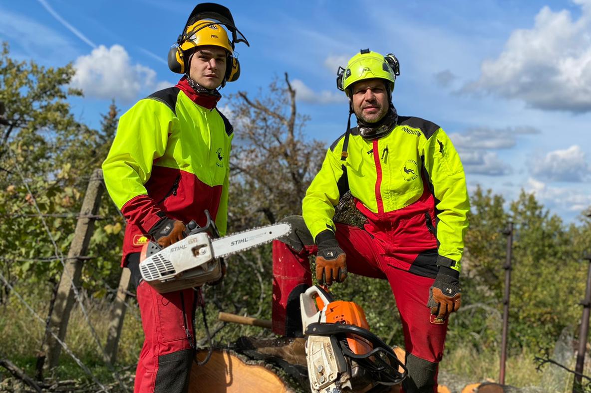 Žádost o povolení kácení