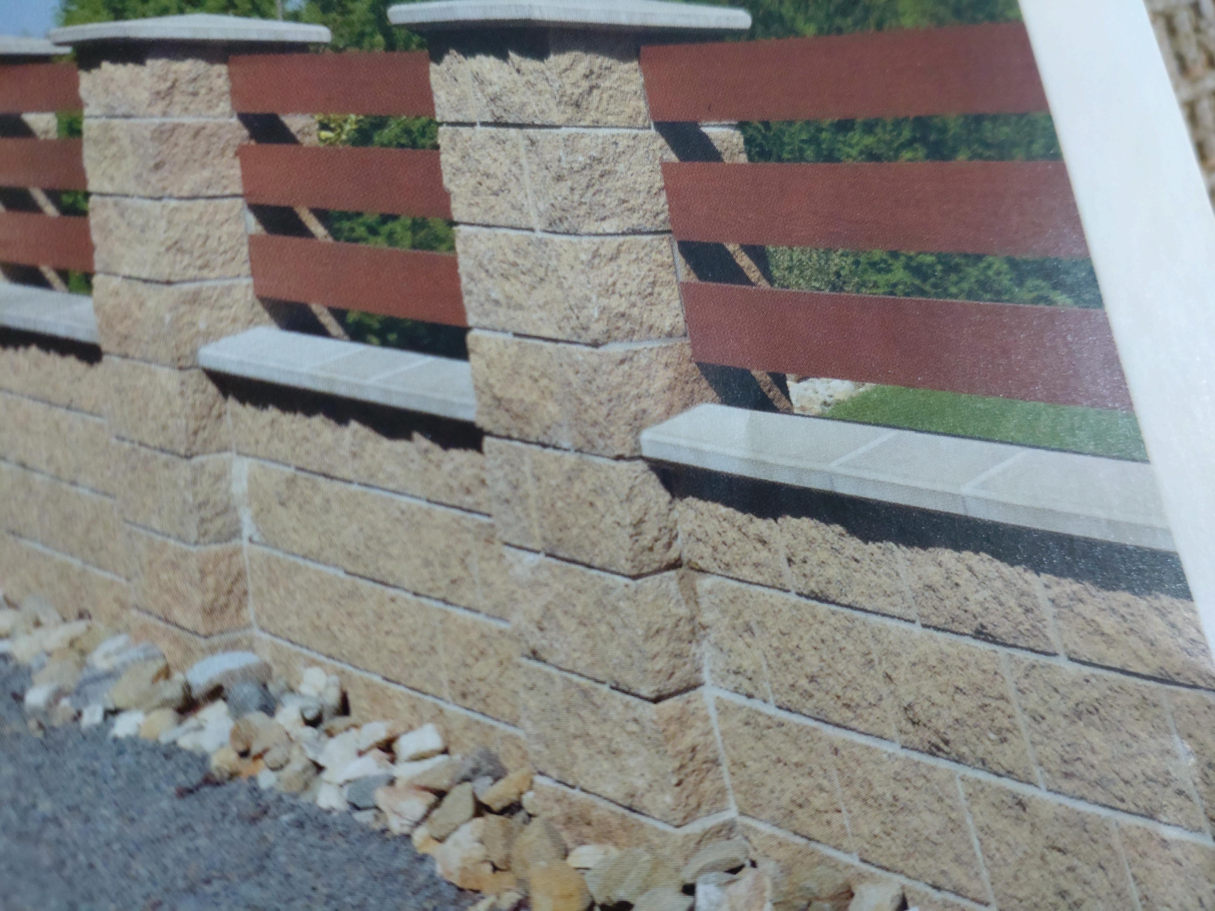 David Řezáč foto 4