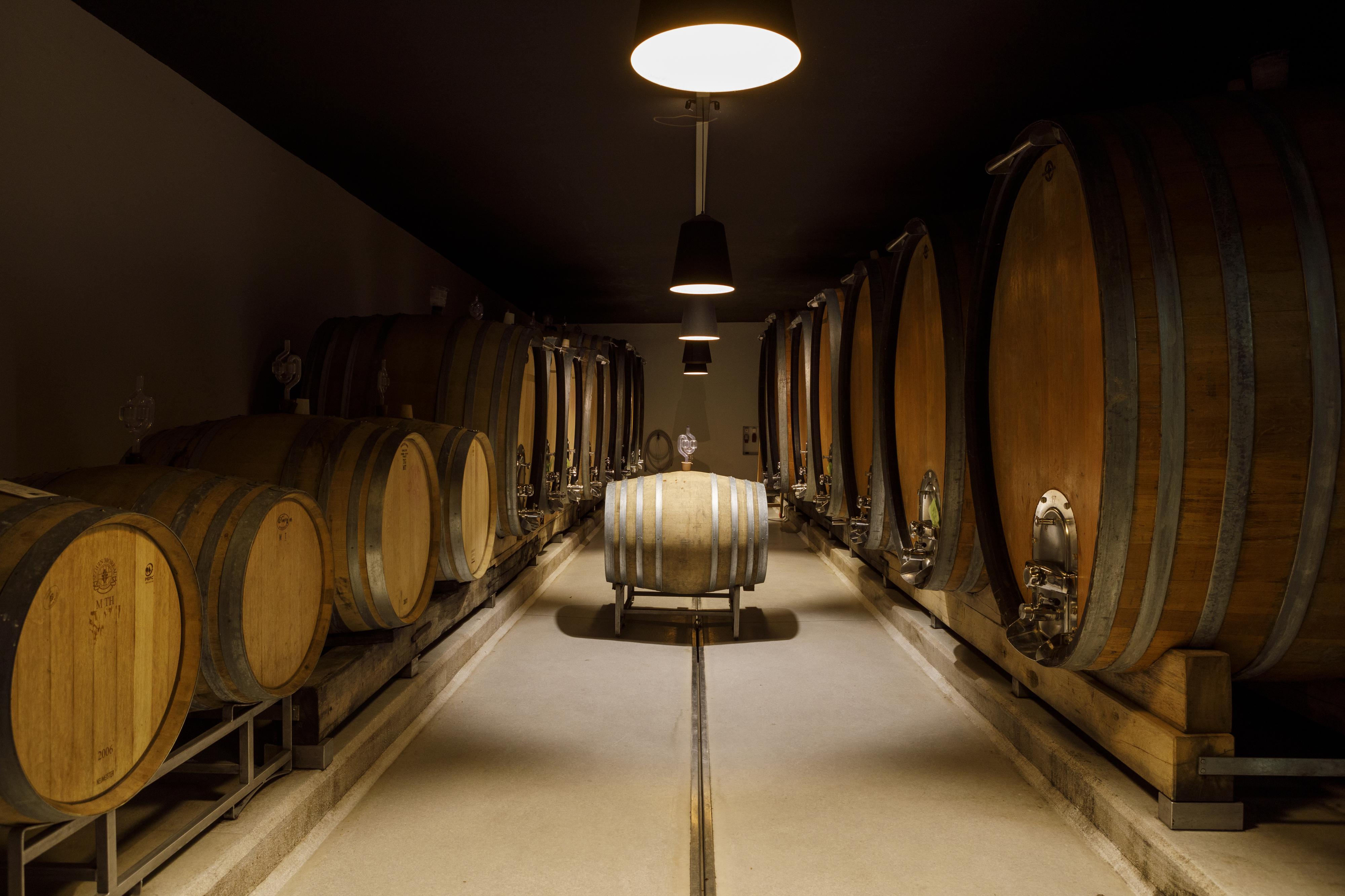 DER WEINSCHMECKER s.r.o. foto 3