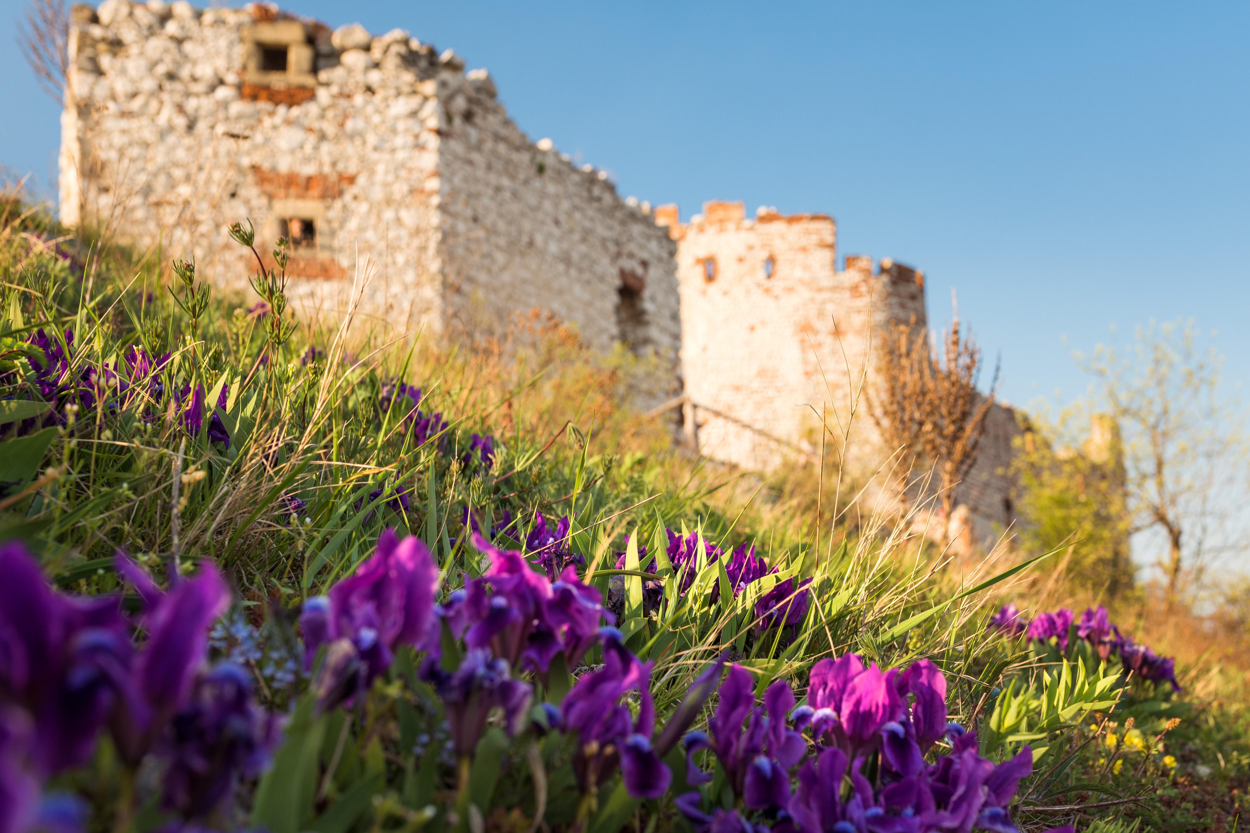 Květnové svátky na Pálavě