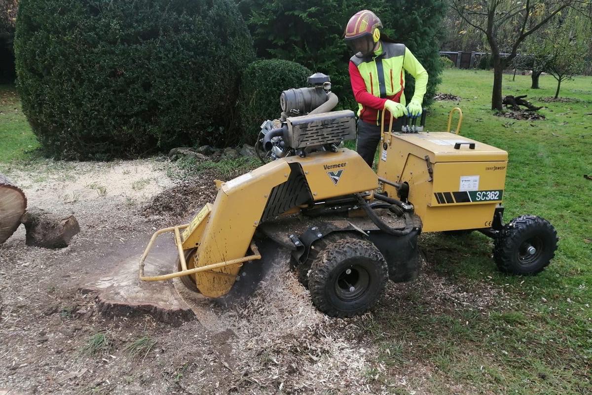 Timber PRO s.r.o. - Zdeněk Bílek