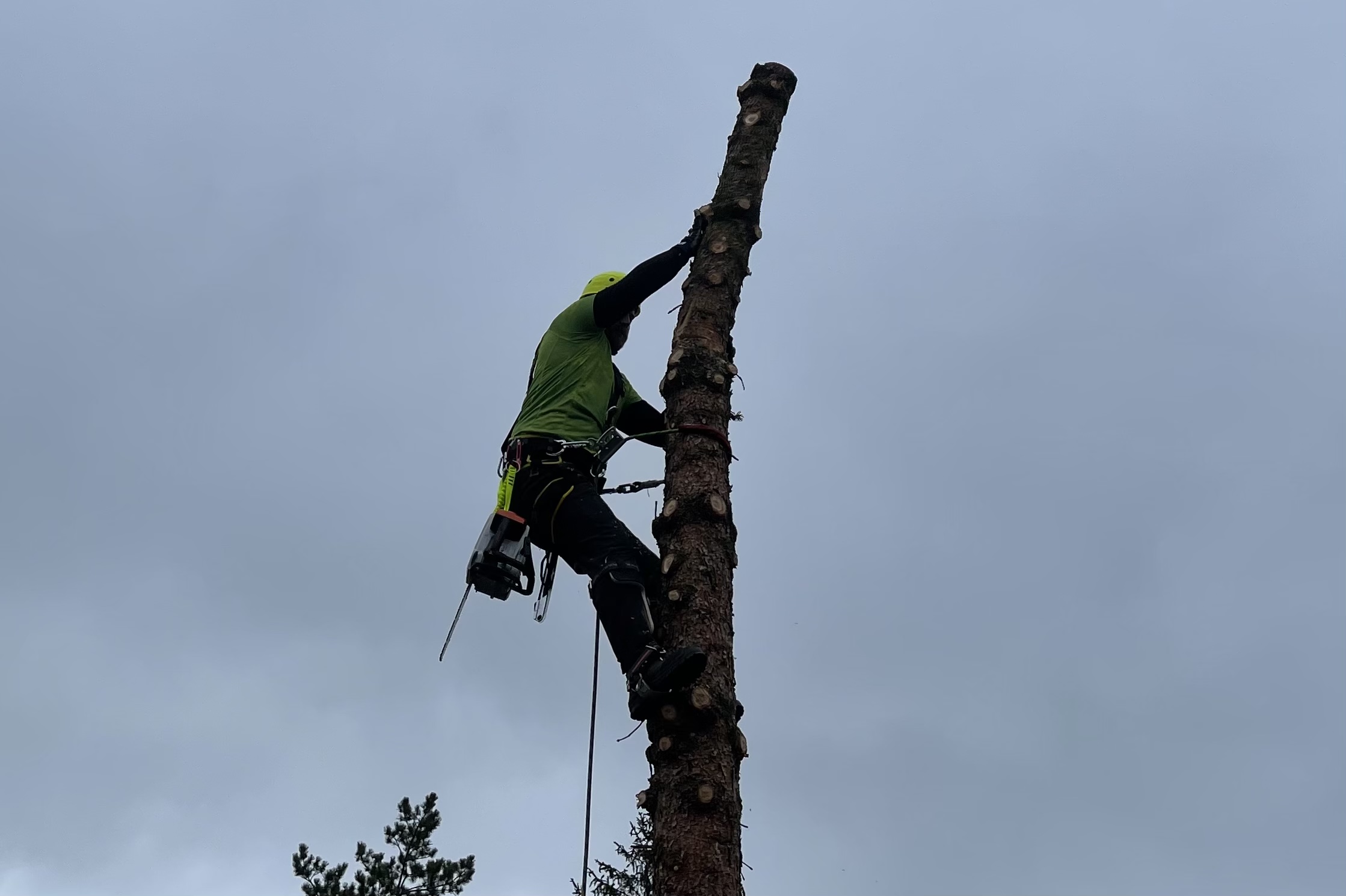 Zahradnické služby Ing. Igor Maťovčík foto 1