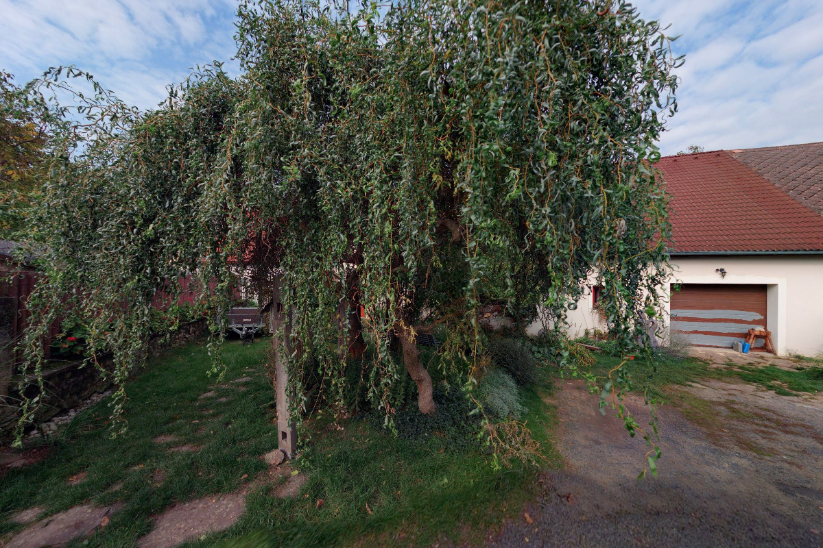 Zahrada u malíře foto 2