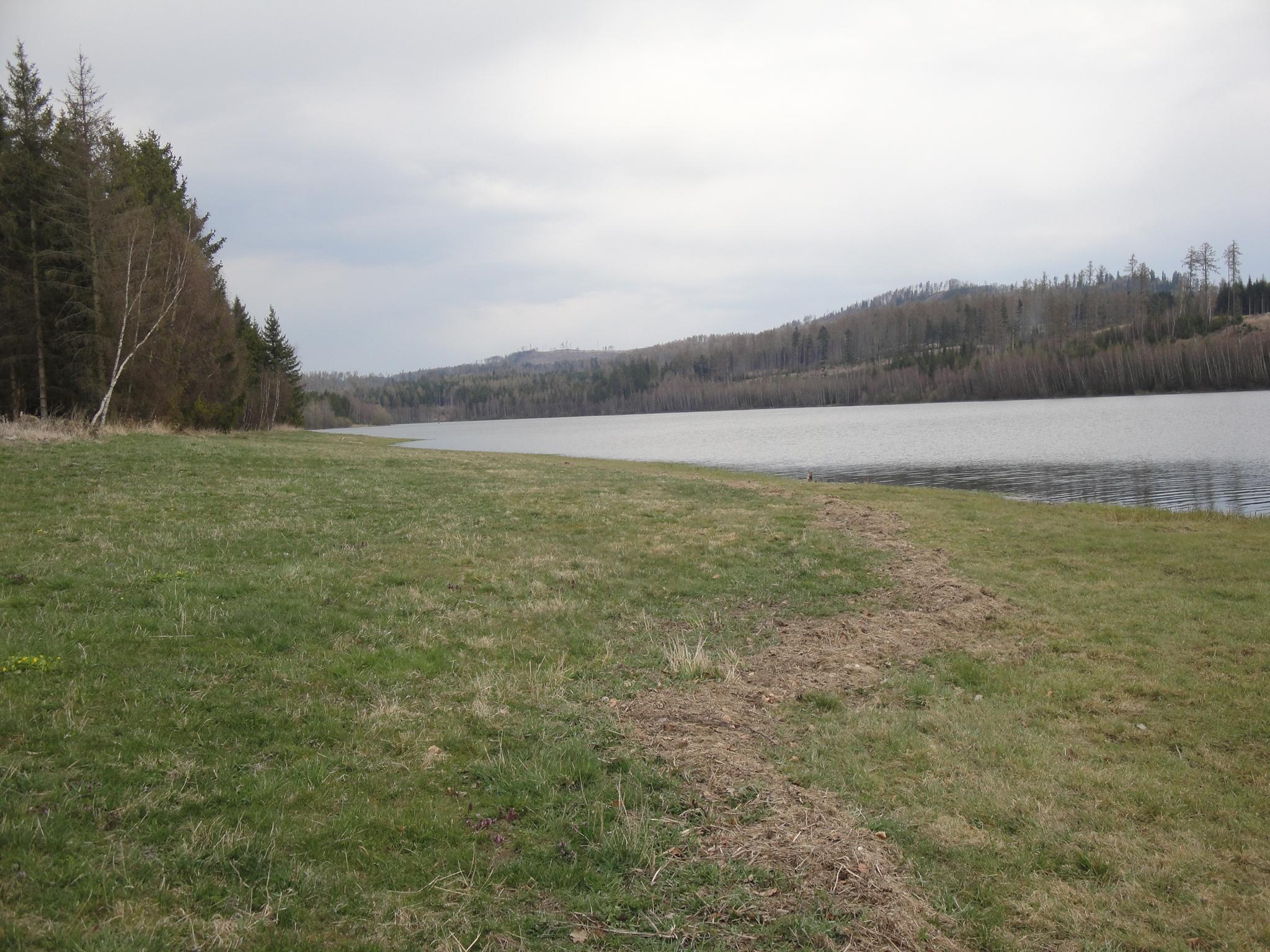 Veslařský klub Sl. Harta z.s. foto 4