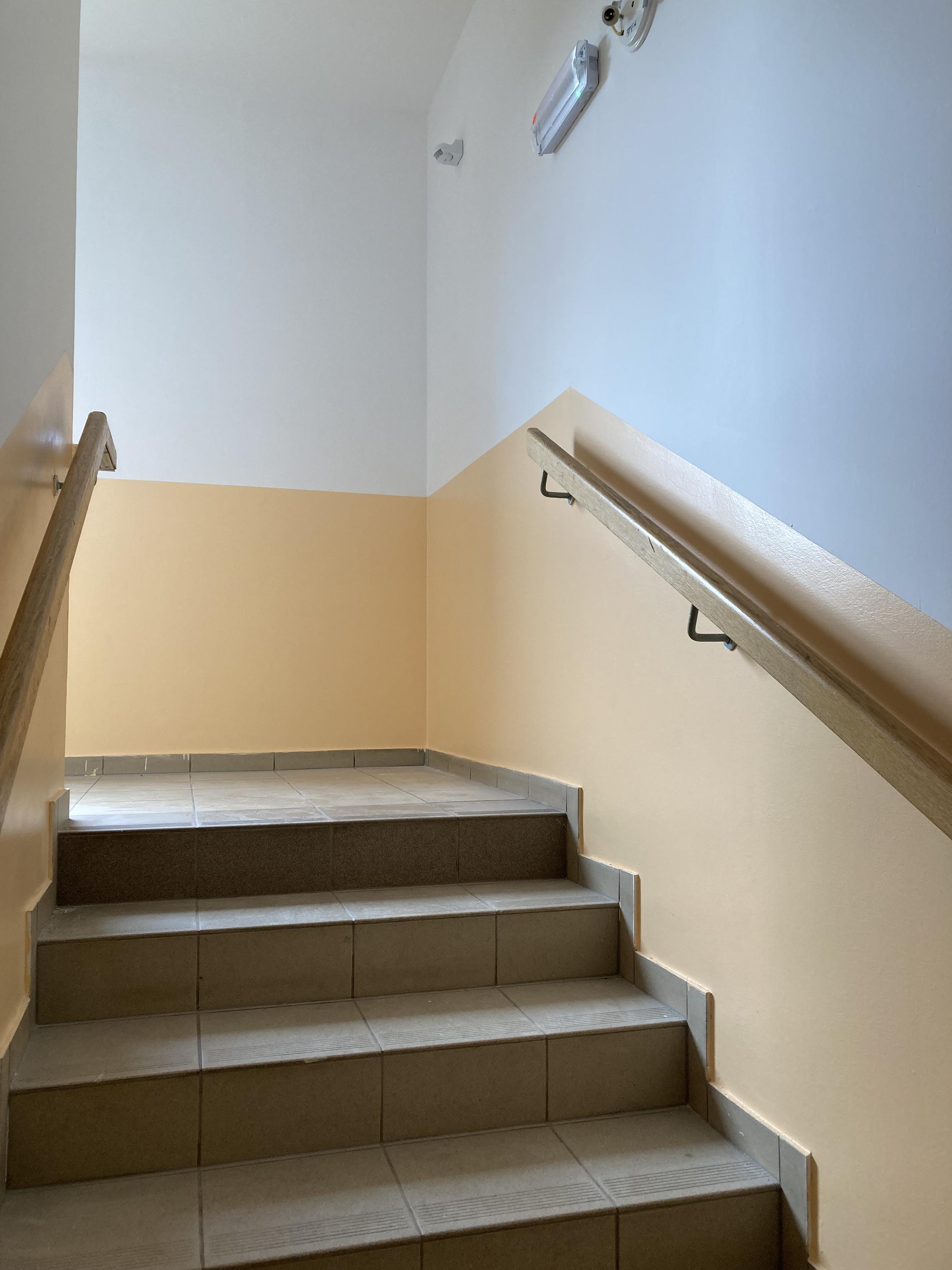 Grafin - Čonka Miroslav foto 2