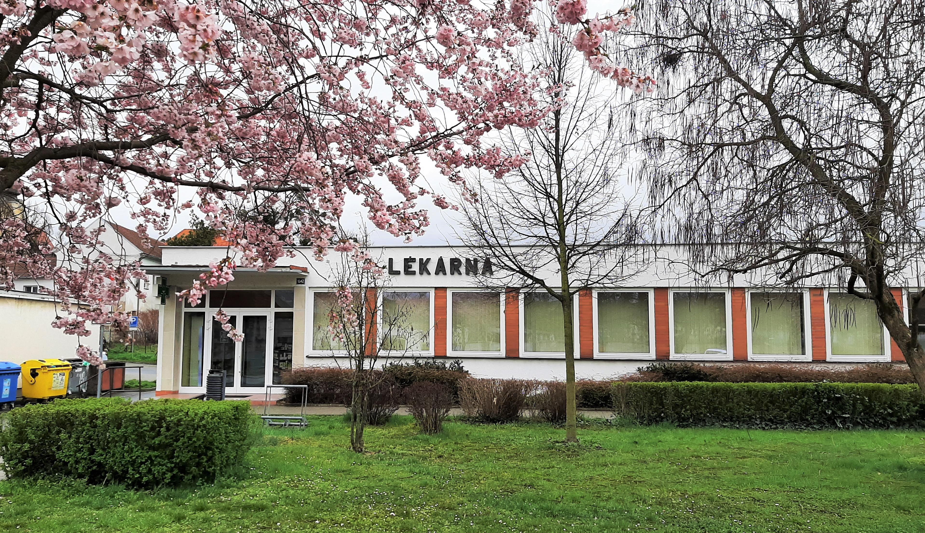 Lékárna Mafarmia s.r.o Napajedla foto 2