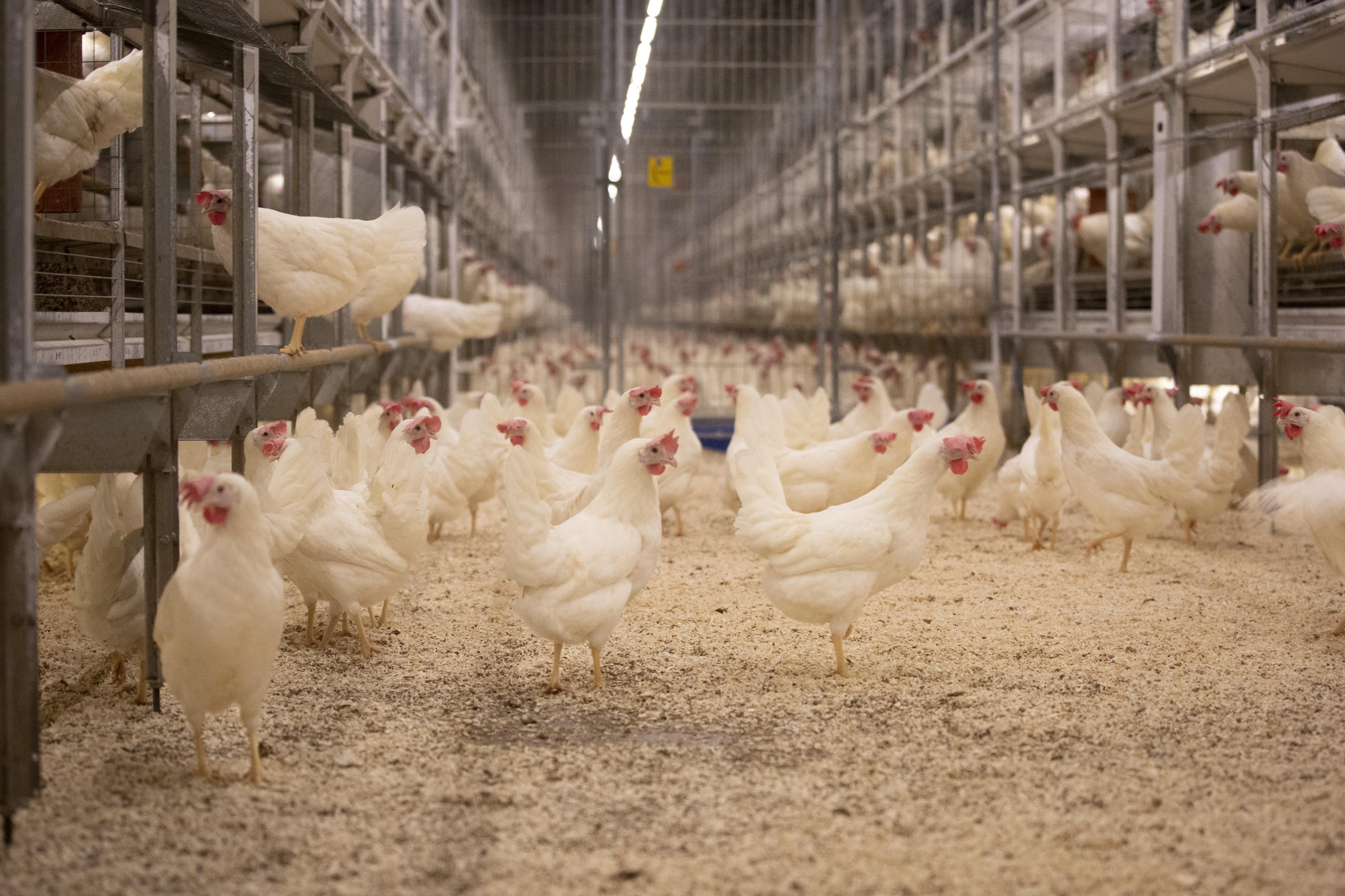 PROAGRO Nymburk, a.s.