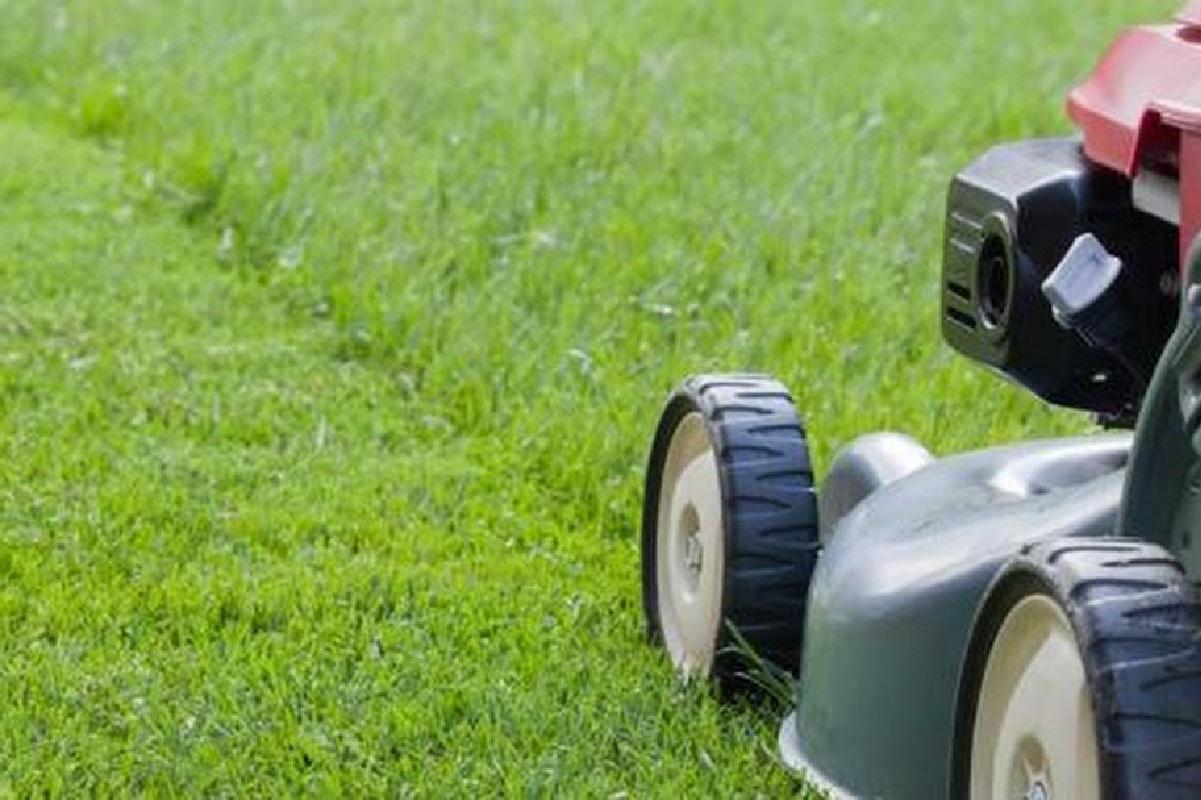 Údržba trávníků Robert Nedbal