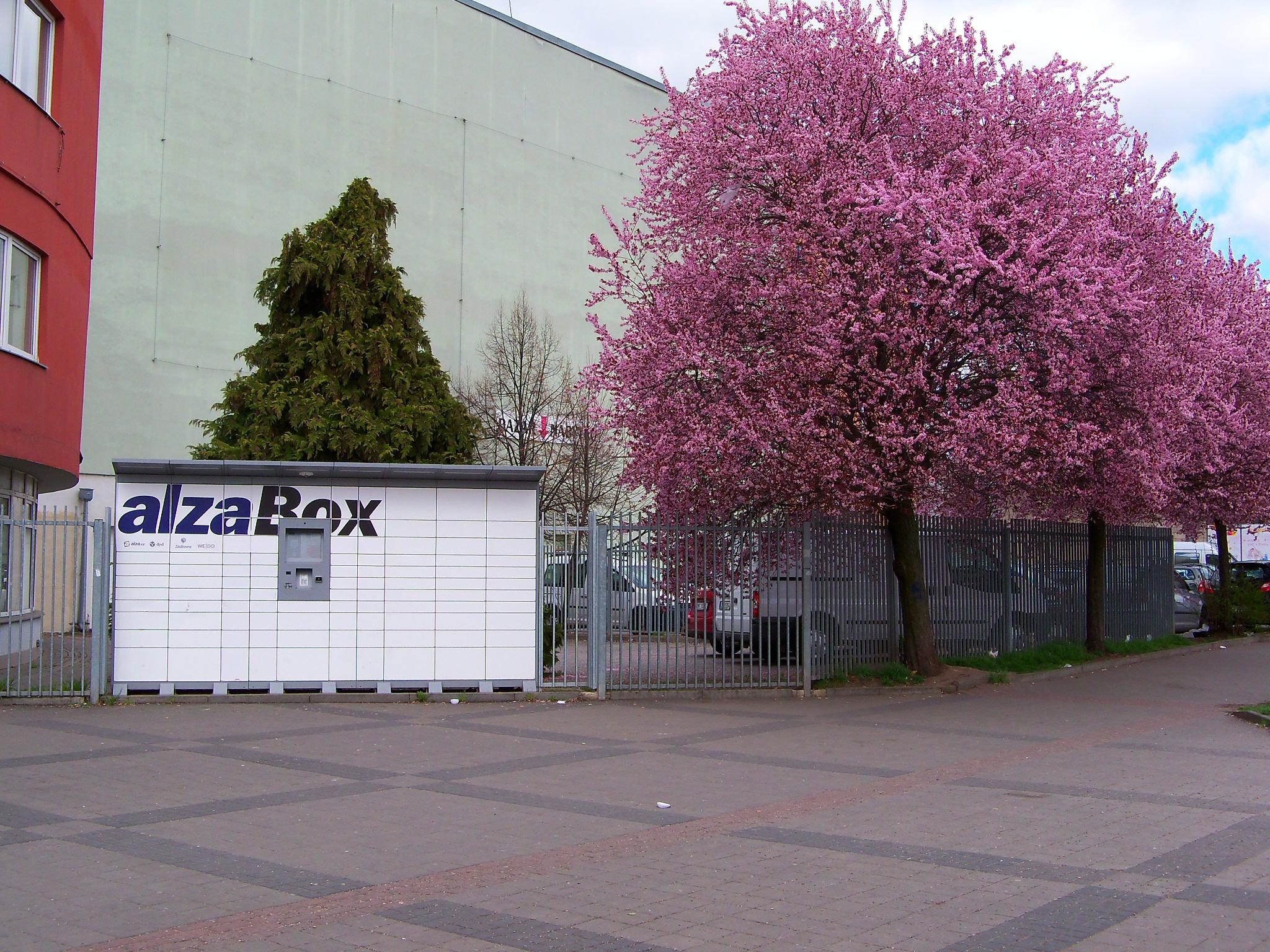 AlzaBox foto 3