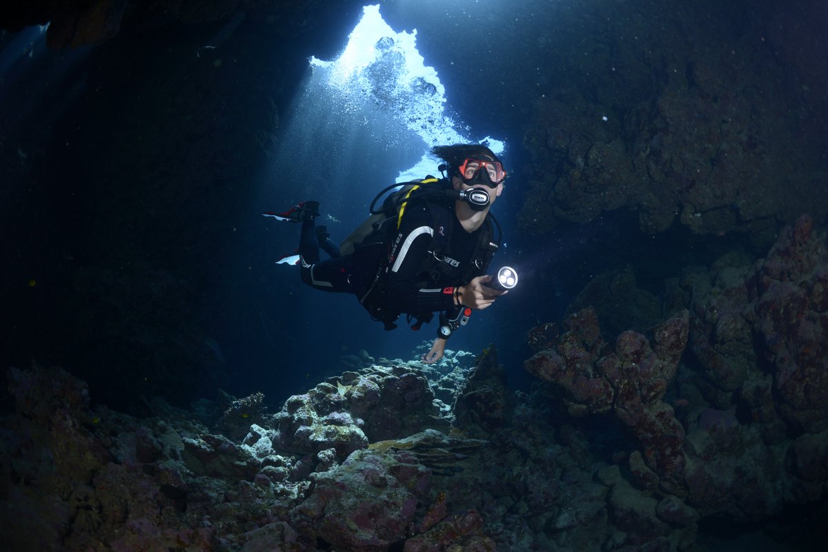 PISCES DIVING WORLD foto 4