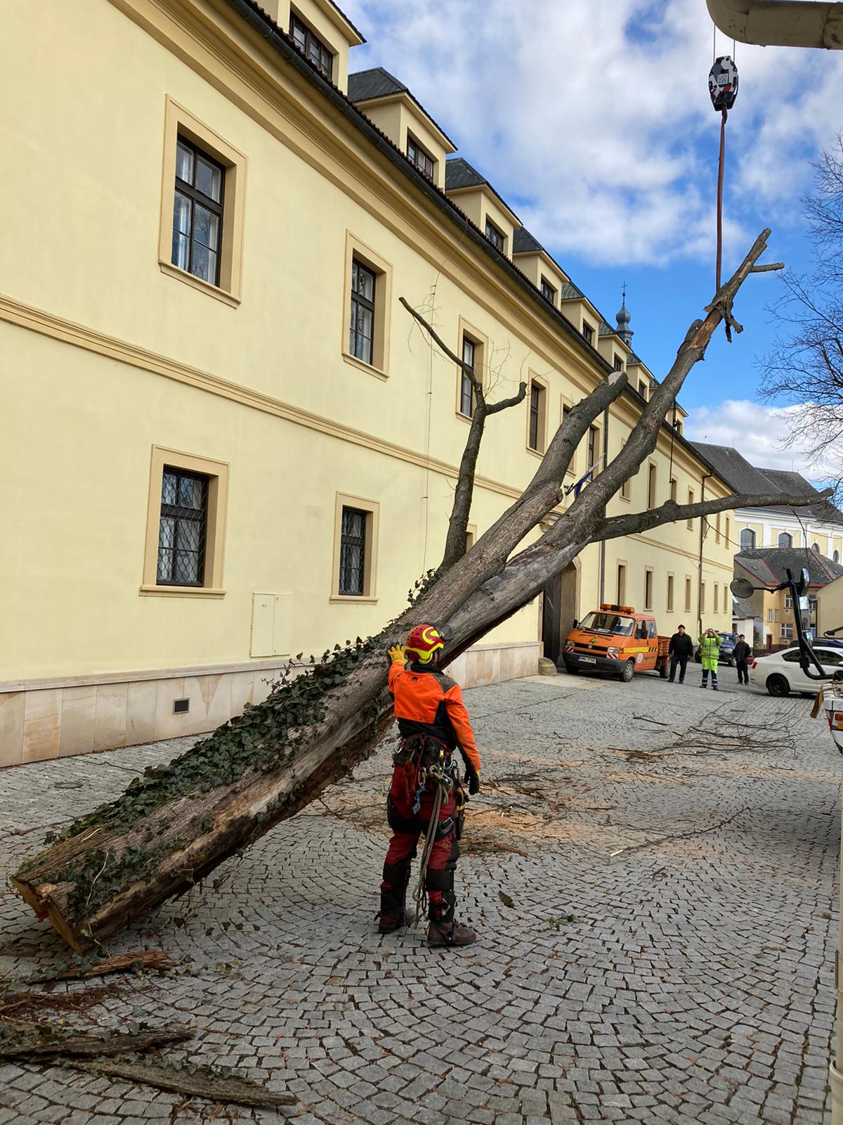 ArboBlazek.cz foto 4