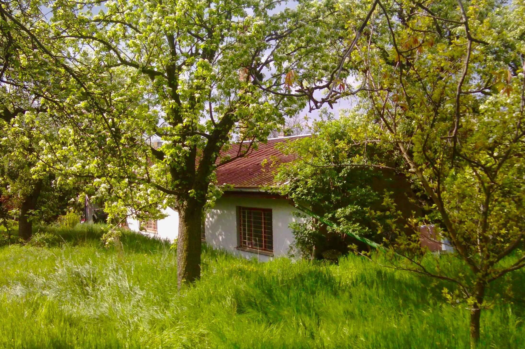 Komunitní centrum a zahrada Kotlaska