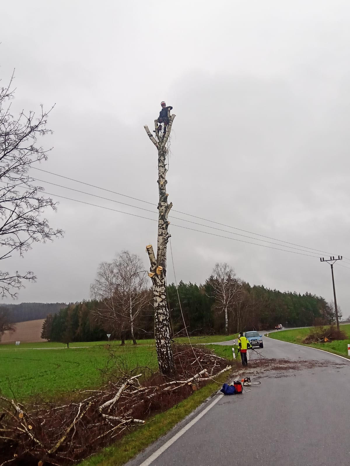 Rizikové kácení stromů a výškové práce Martin Bastl foto 2